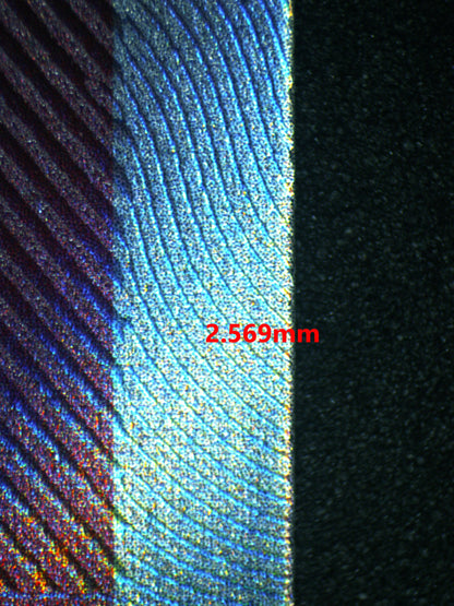 05121 GENGAR EX - ValueUp