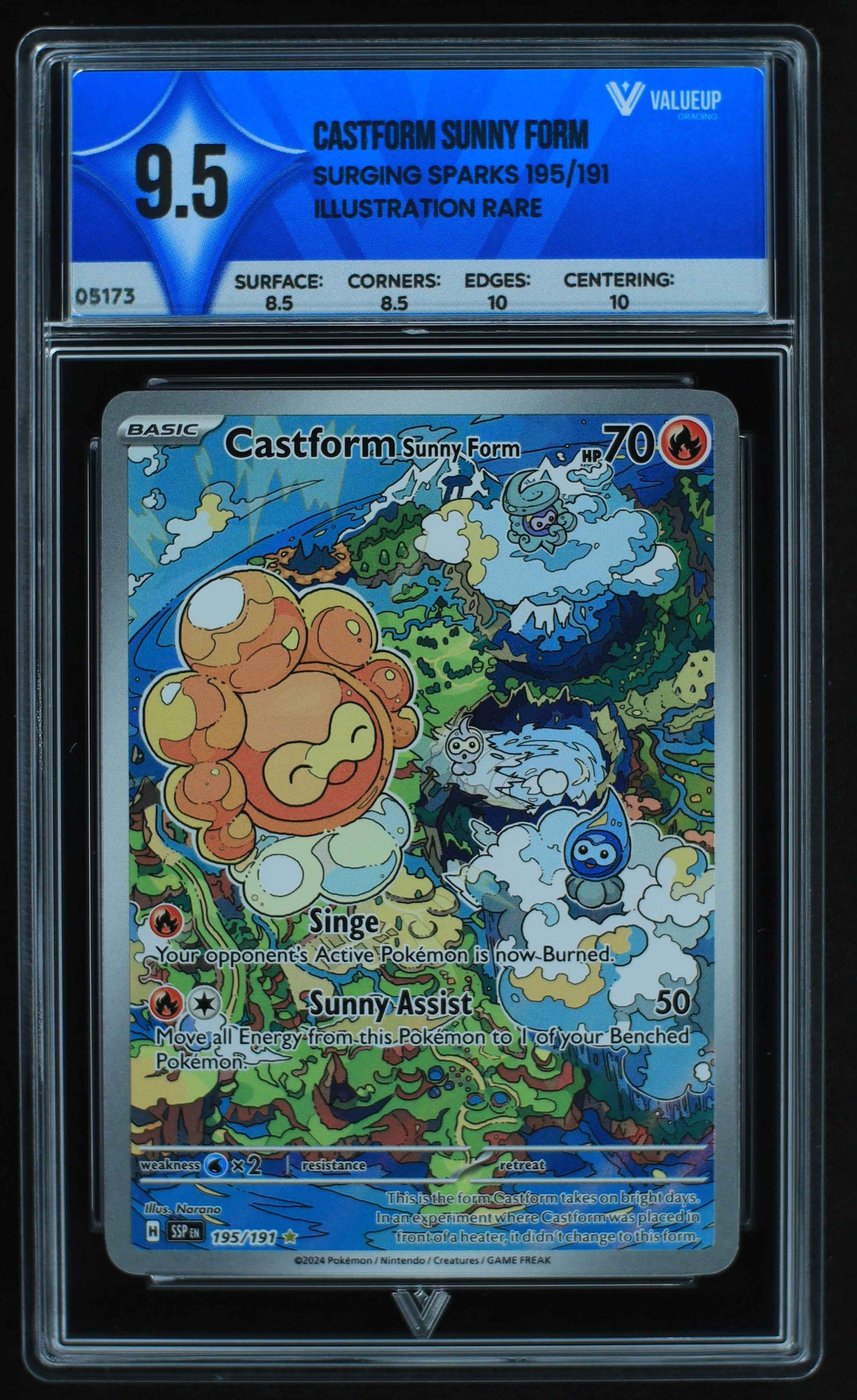 05173 CASTFORM SUNNY FORM - ValueUp
