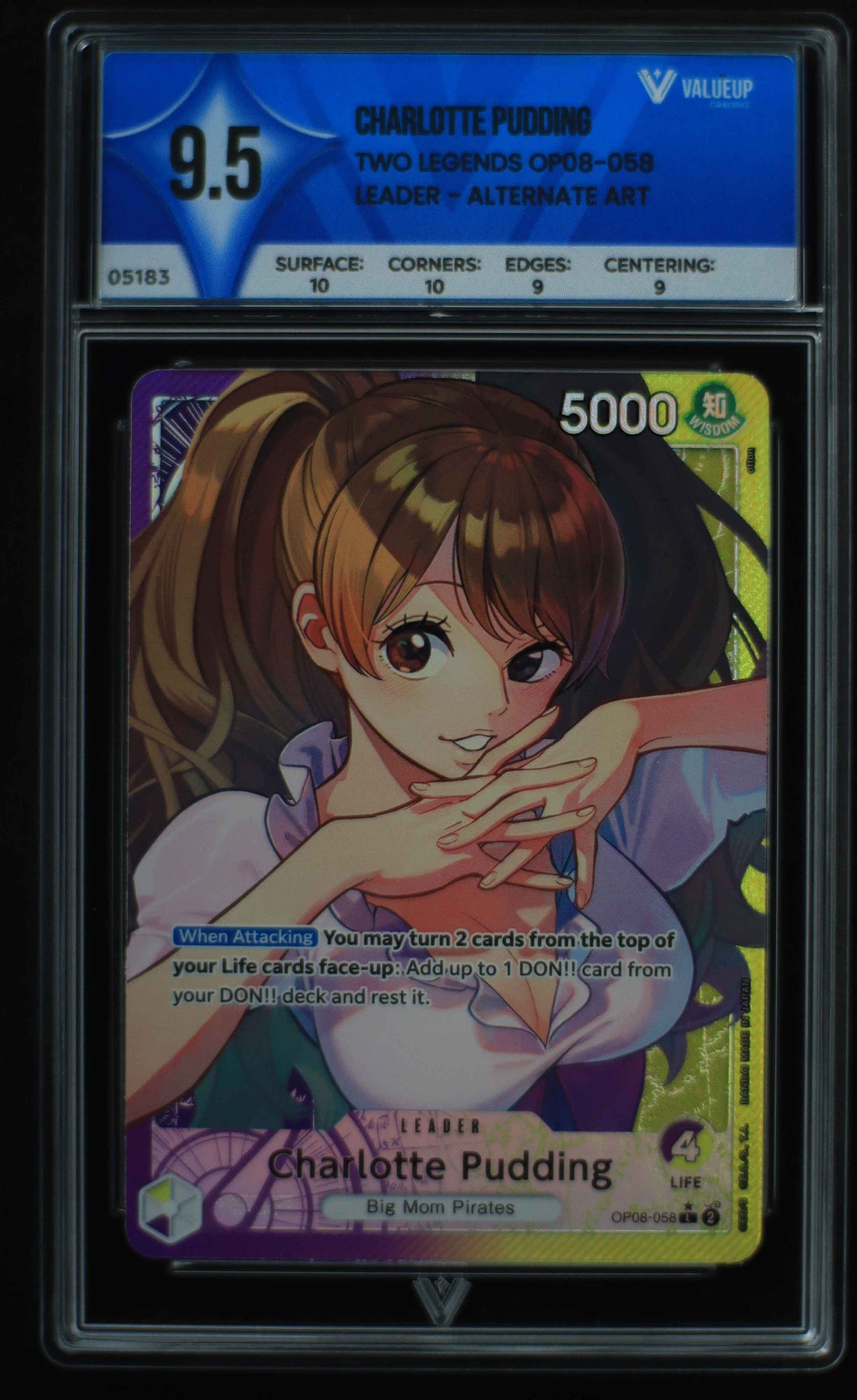 05183 CHARLOTTE PUDDING - ValueUp