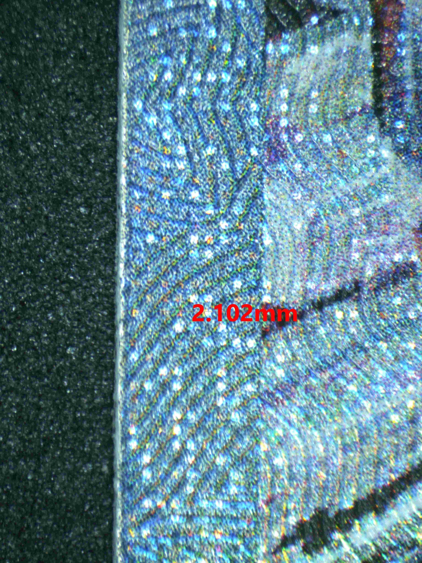 05226 BLASTOISE EX (SPANISH) - ValueUp