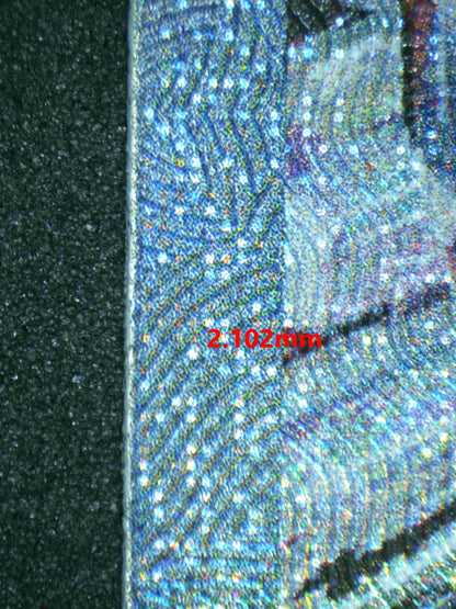 05226 BLASTOISE EX (SPANISH) - ValueUp