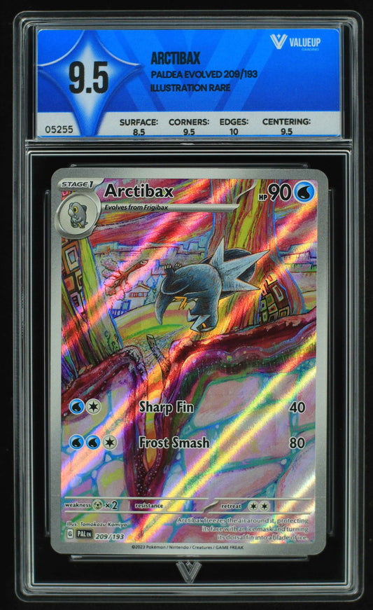 05255 ARCTIBAX - ValueUp