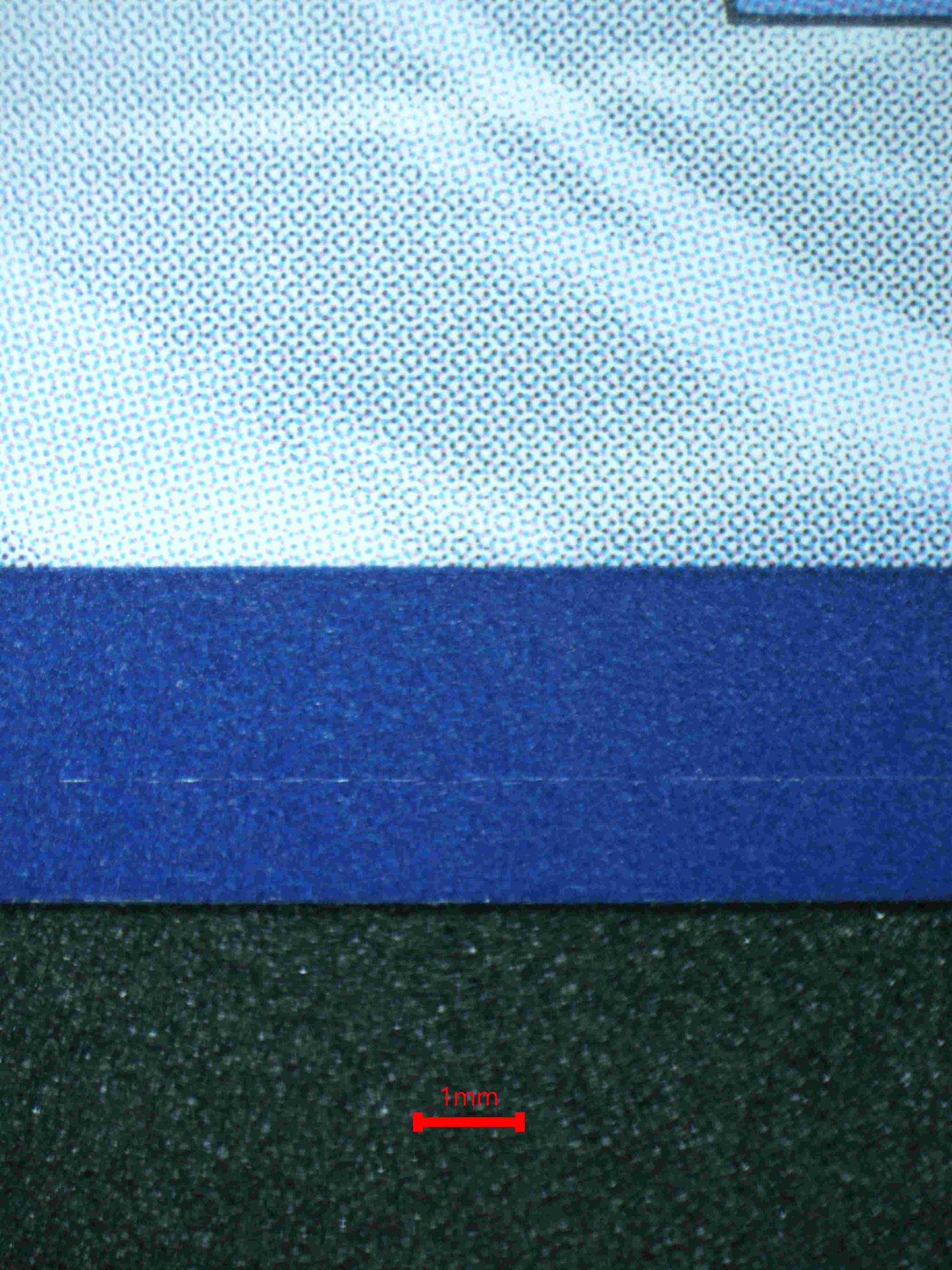 05259 NOIVERN EX - ValueUp