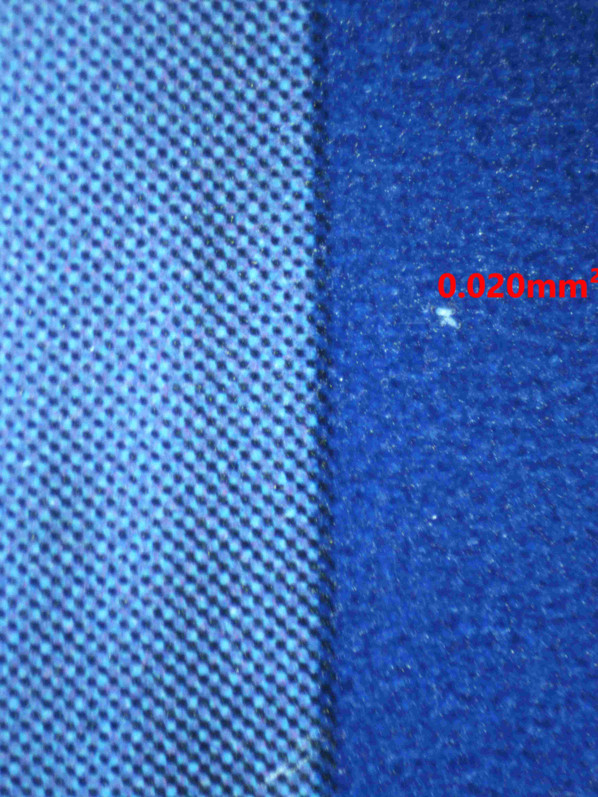 05302 ELESA'S SPARKLE - ValueUp