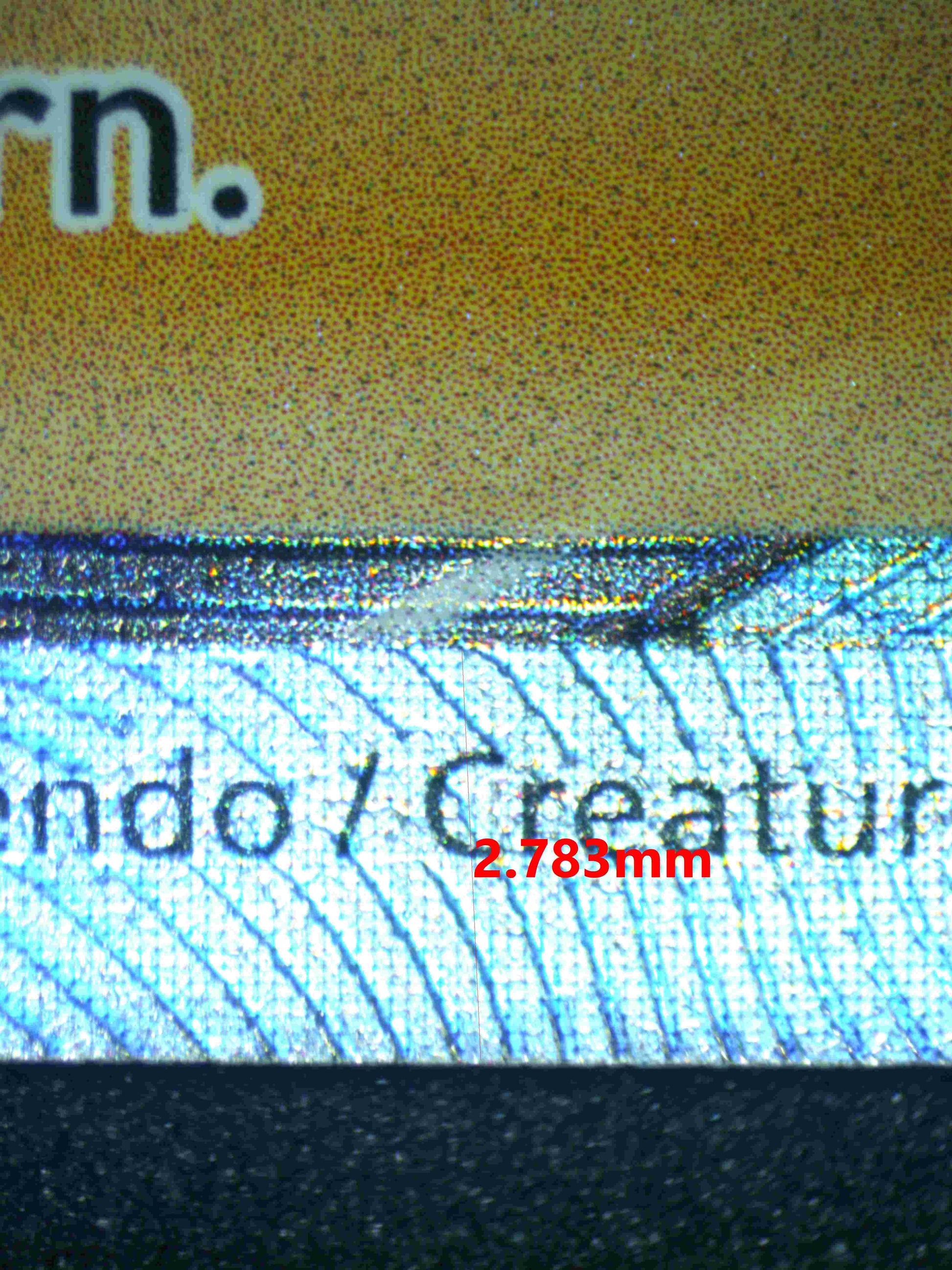 05302 ELESA'S SPARKLE - ValueUp