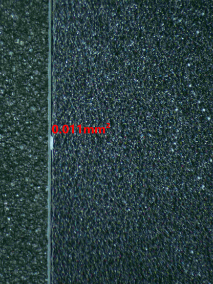 05304 SPRINGTIME, MAIKO IN KYOTO (JAPANESE) - ValueUp