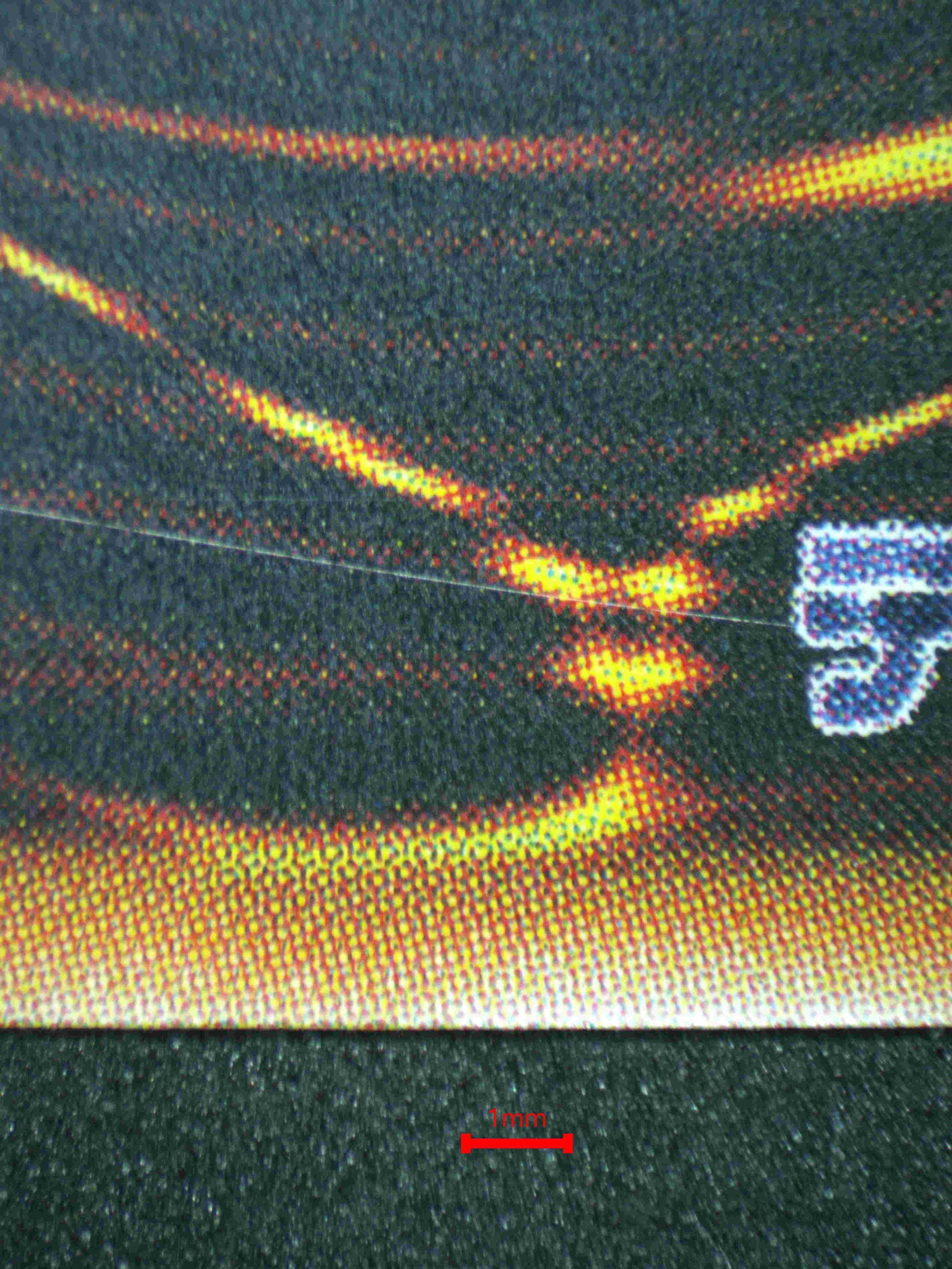 05305 INJECTION FAIRY LILY (CHINESE) - ValueUp