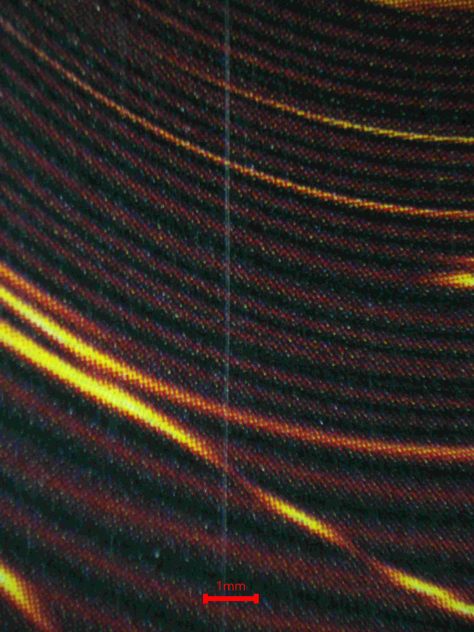 05339 MAGICIAN OF BLACK CHAOS MAX - ValueUp