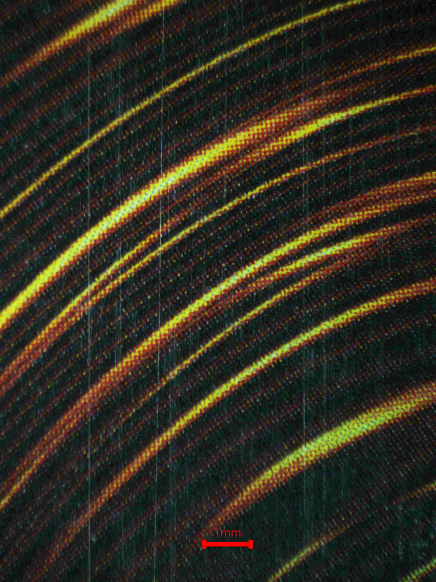 05342 DARK MAGICIAN - ValueUp