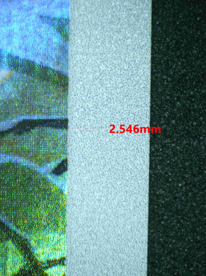 05386 PACHIRISU - ValueUp