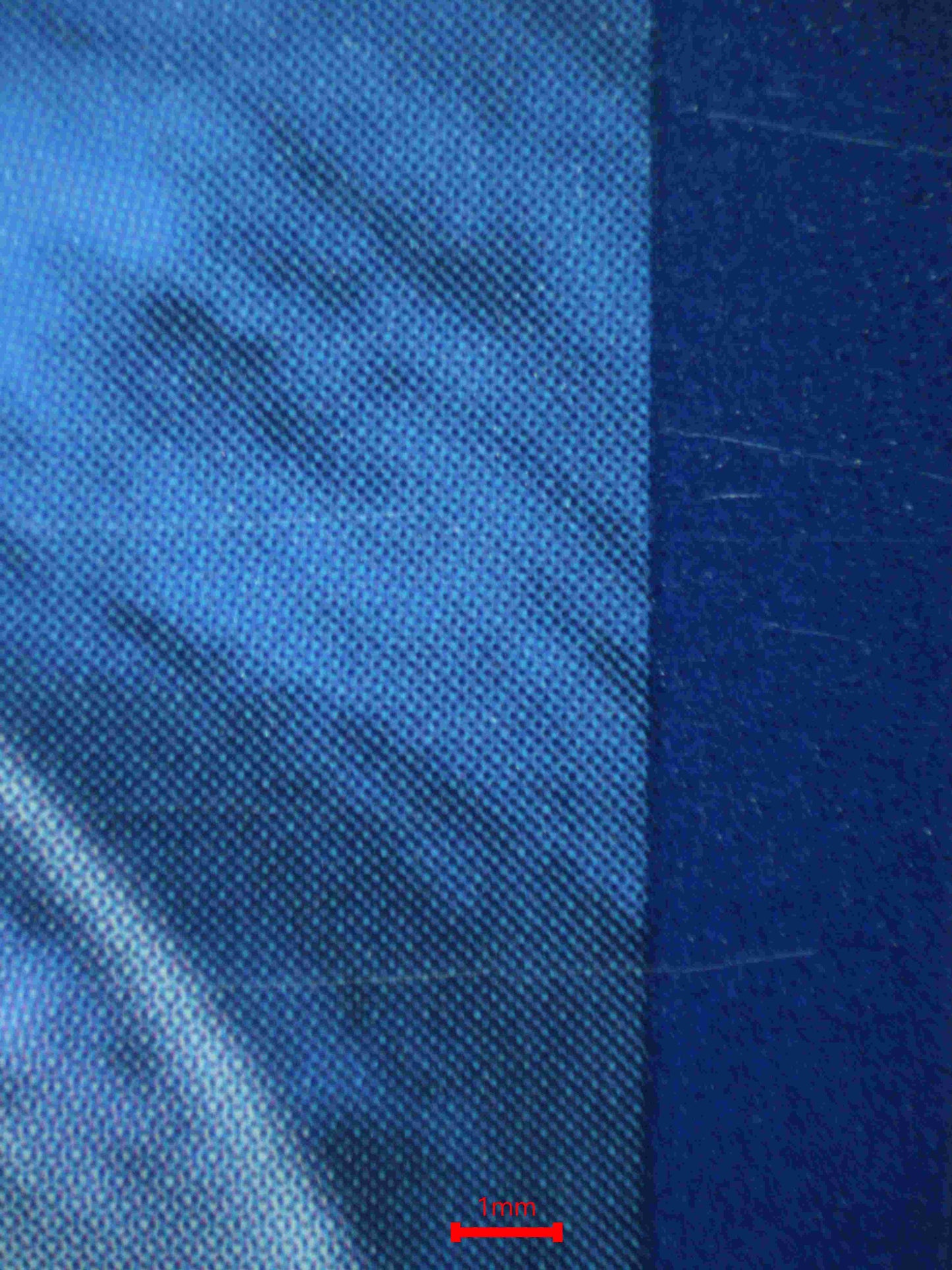 05388 MILOTIC EX - ValueUp