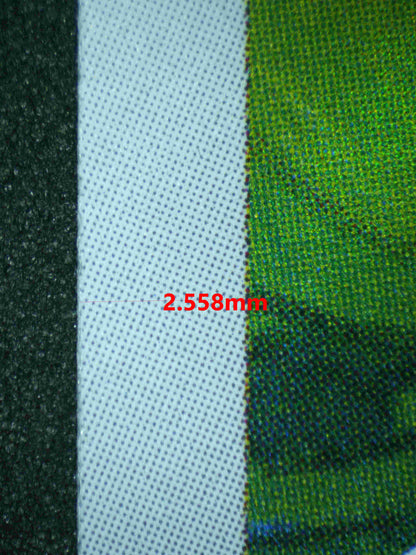 05398 BULBASAUR (JAPANESE) - ValueUp