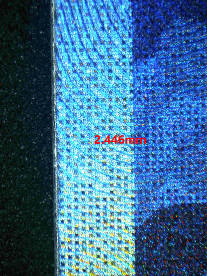 05409 WALKING WAKE EX - ValueUp