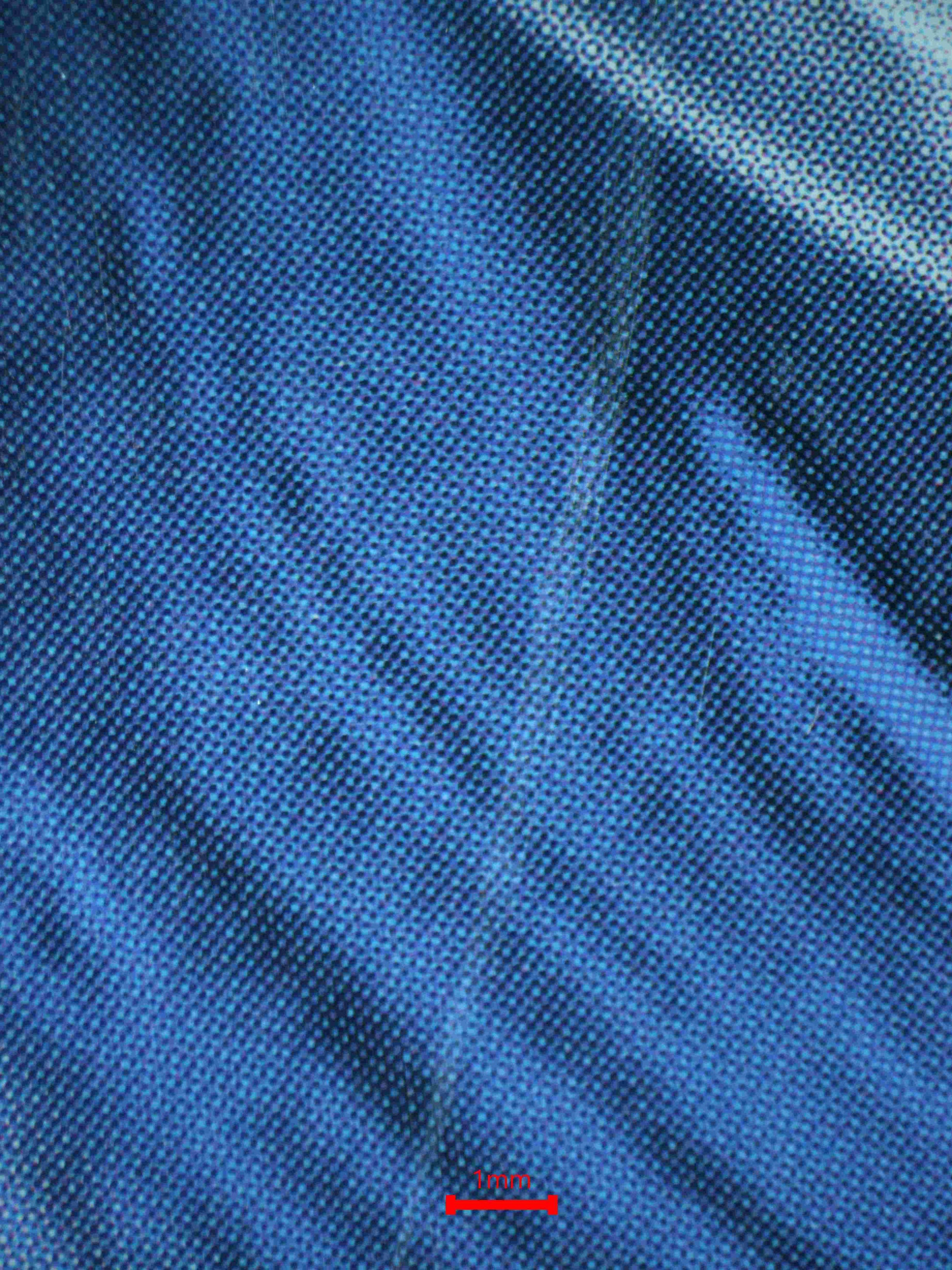 05421 UMBREON GX - ValueUp