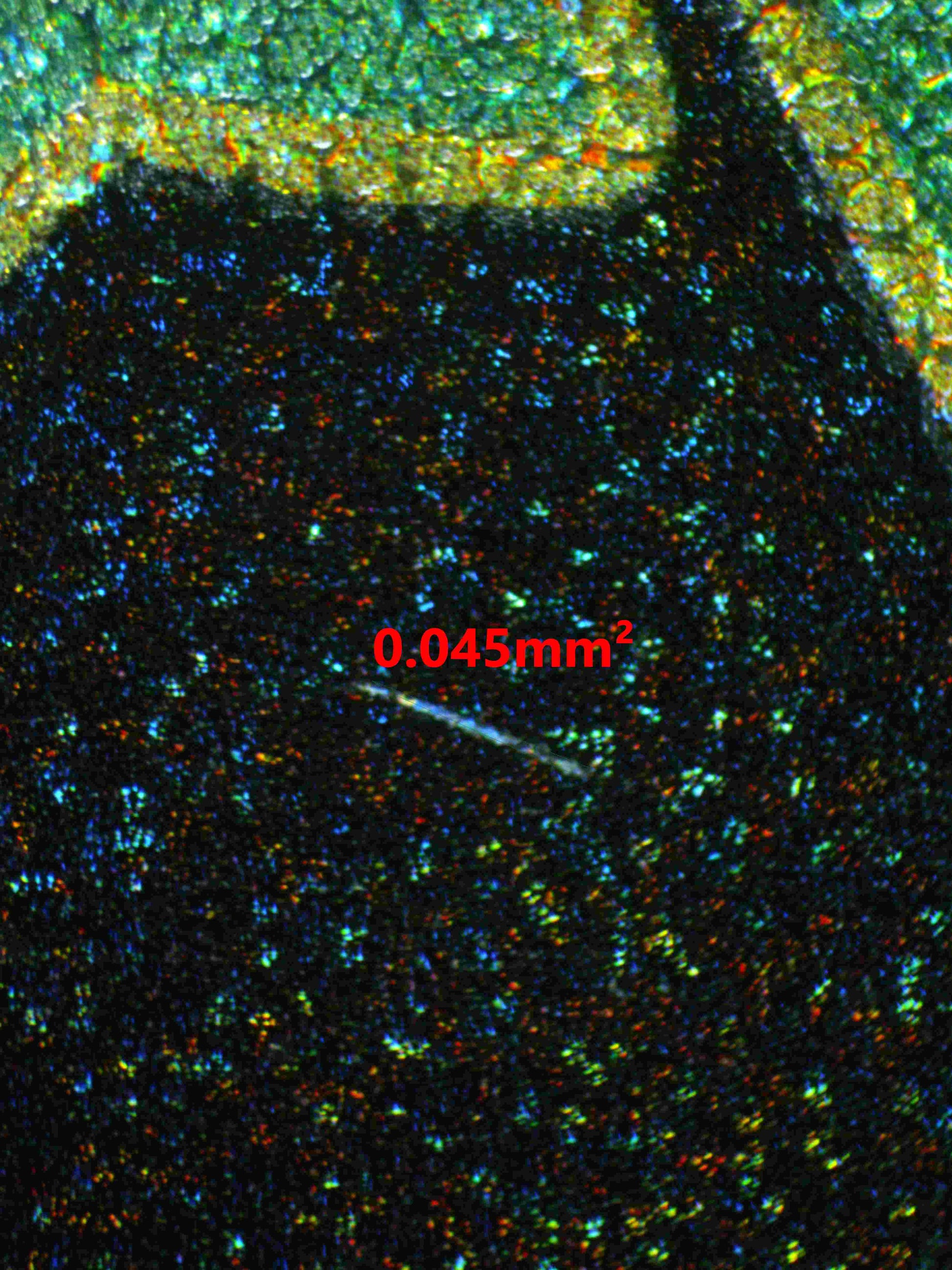 05433 RAYQUAZA VMAX - ValueUp