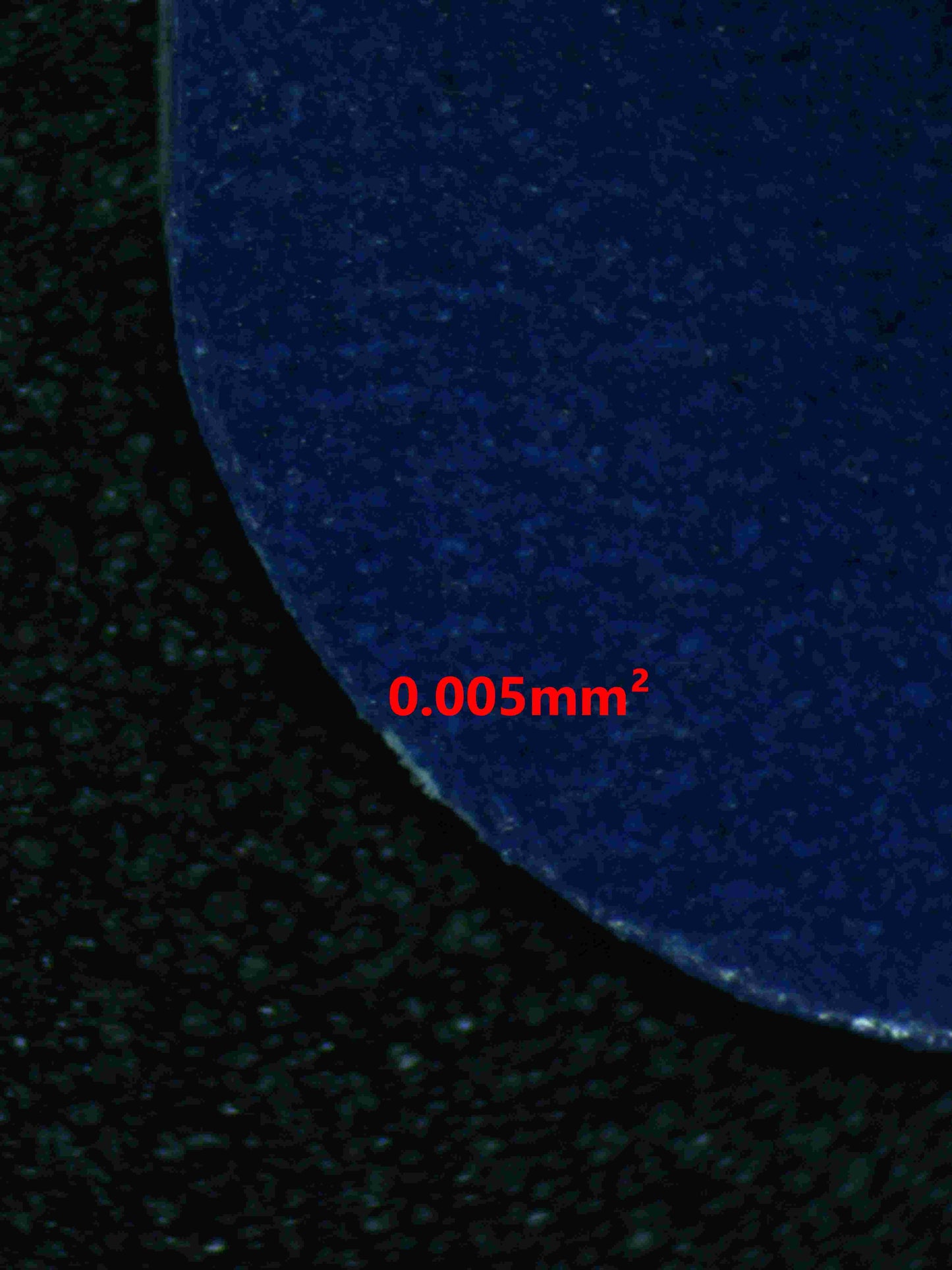 05442 SQUIRTLE - ValueUp