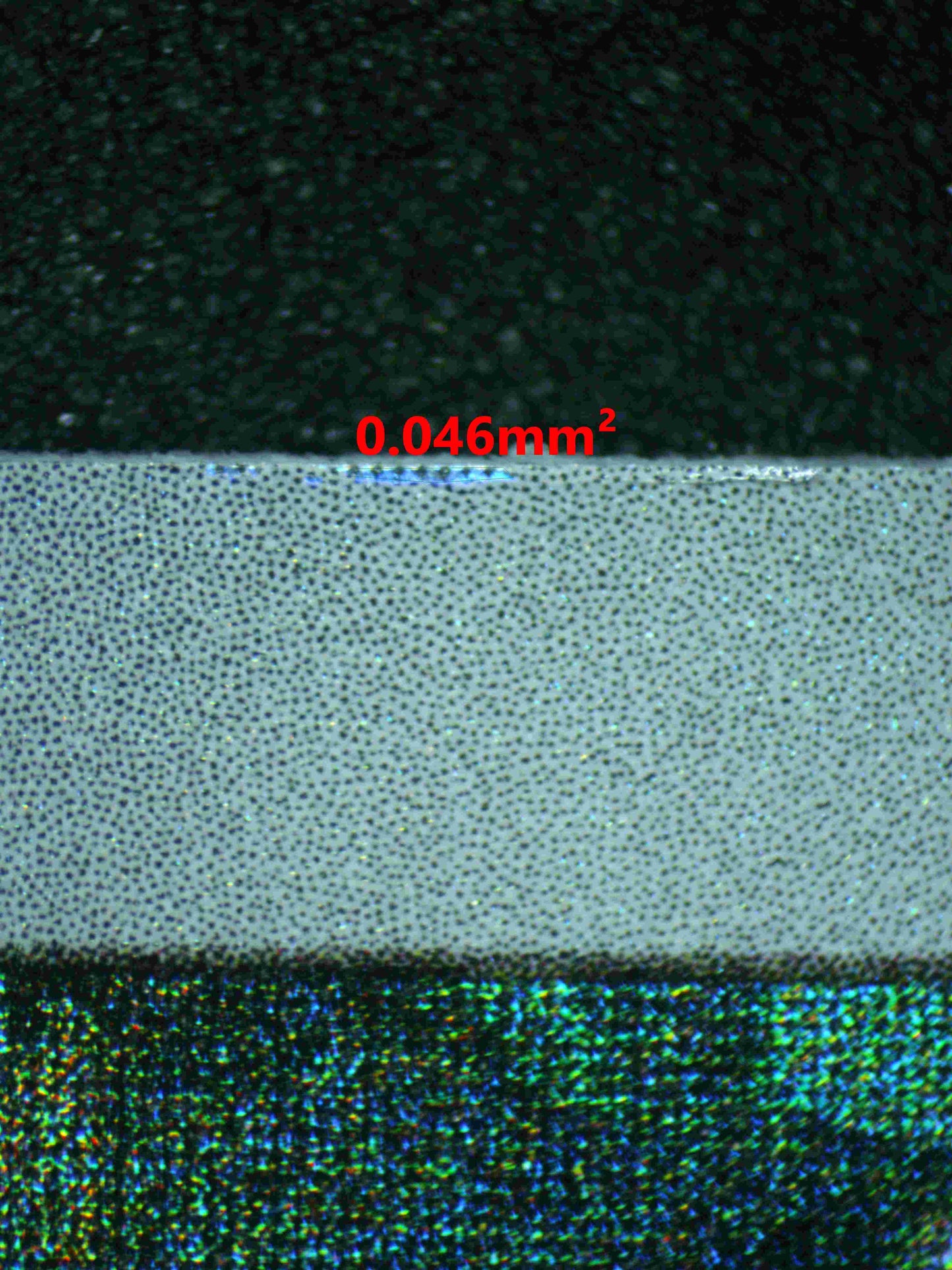 05455 EEVEE - ValueUp