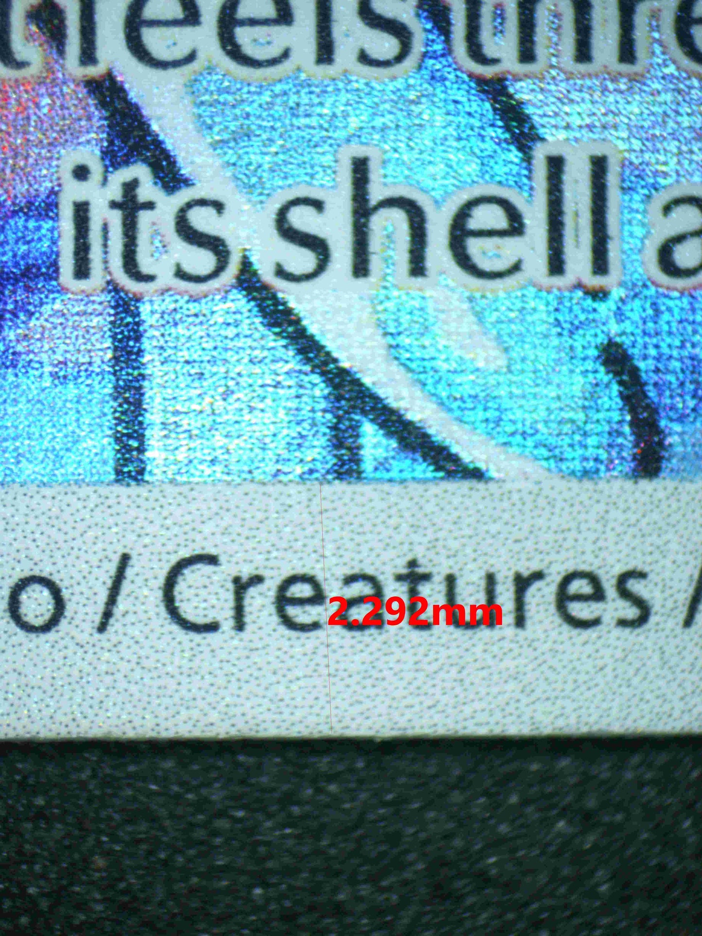 05478 SQUIRTLE - ValueUp