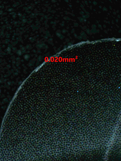 05488 ORIGIN FORM PALKIA V - ValueUp