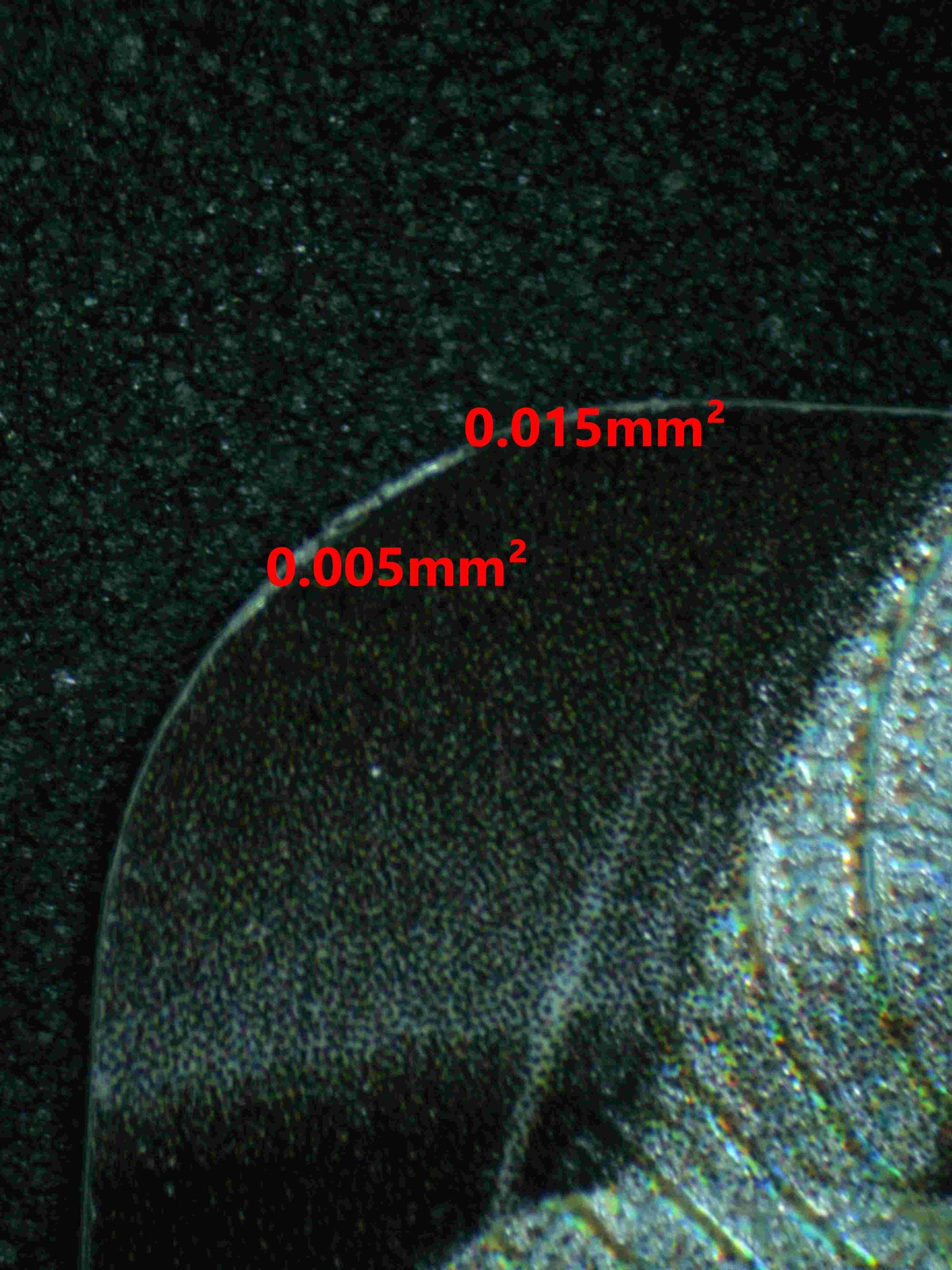 05489 UMBREON V - ValueUp