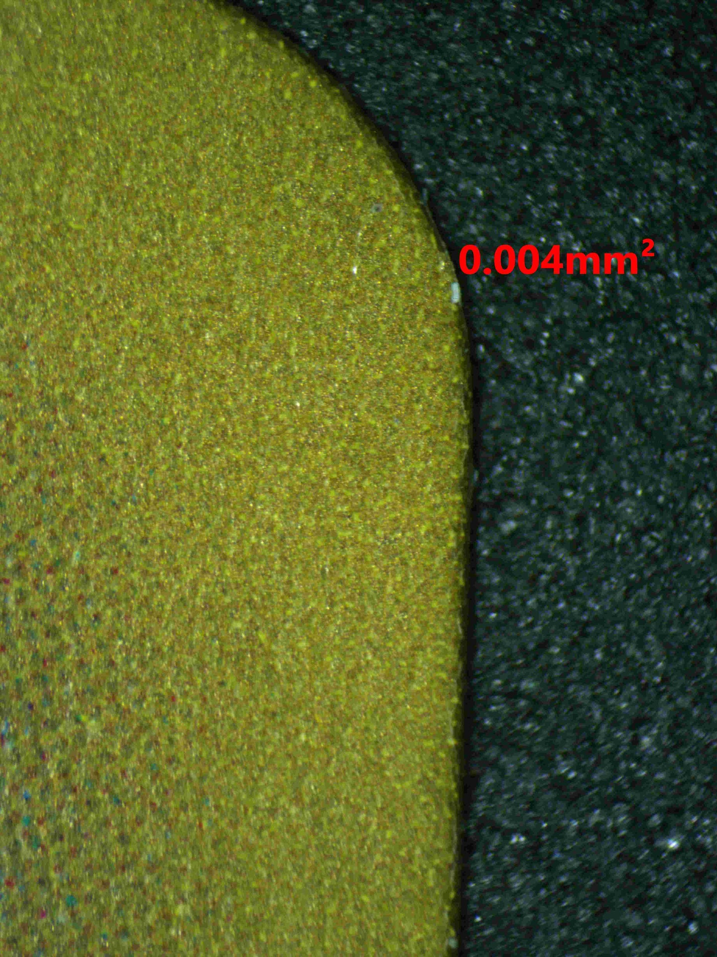 05531 CRAMORANT (JAPANESE) - ValueUp