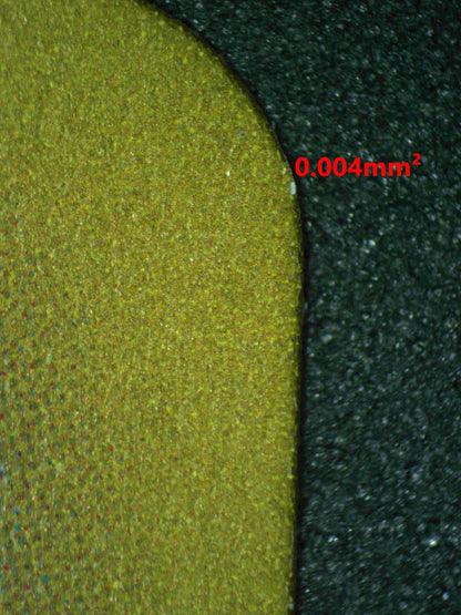 05531 CRAMORANT (JAPANESE) - ValueUp