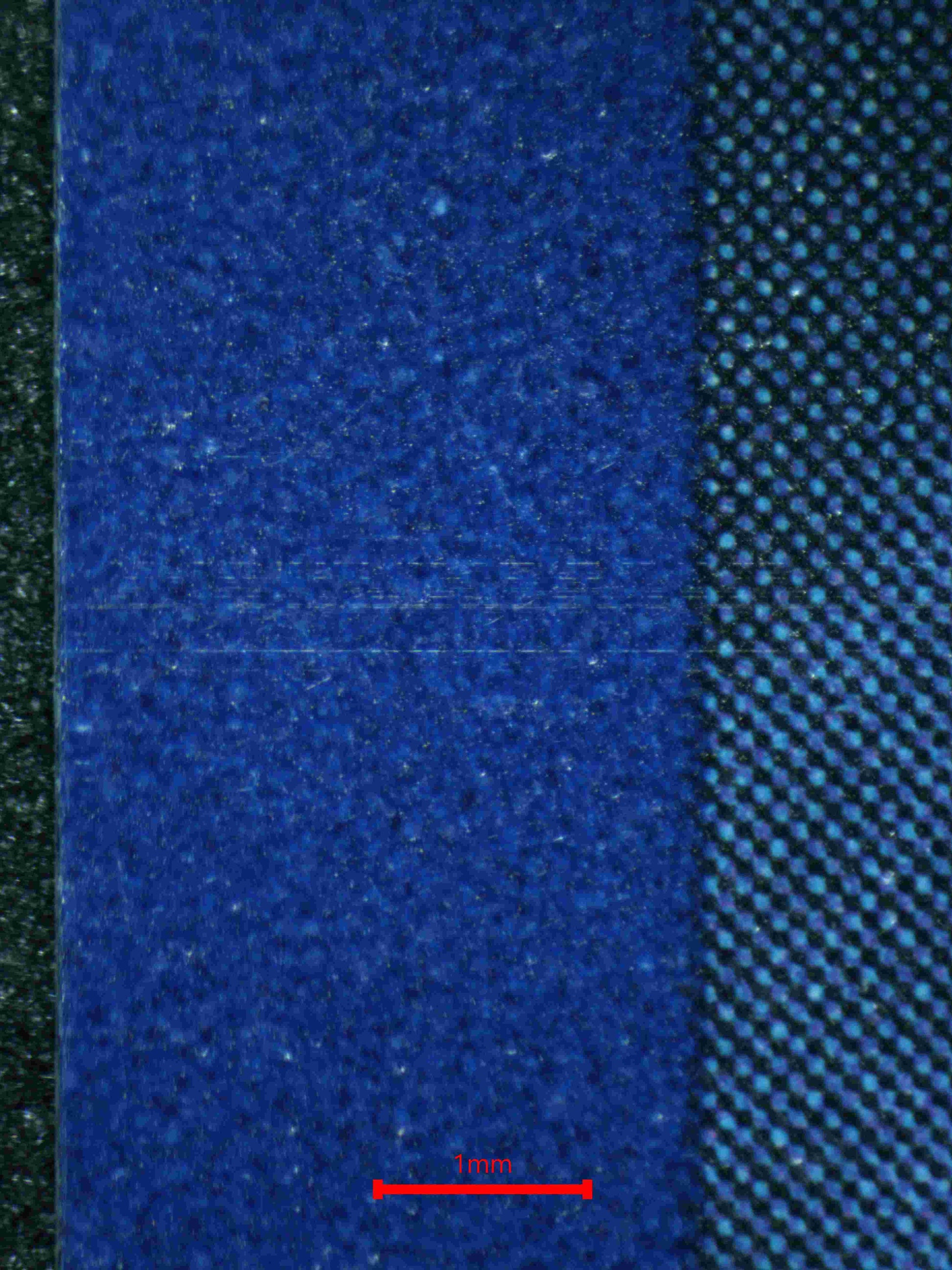 05548 BULBASAUR - ValueUp