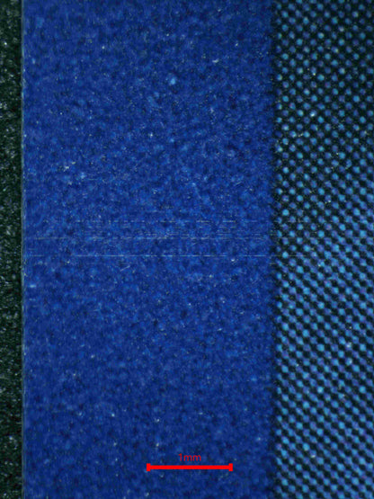 05548 BULBASAUR - ValueUp