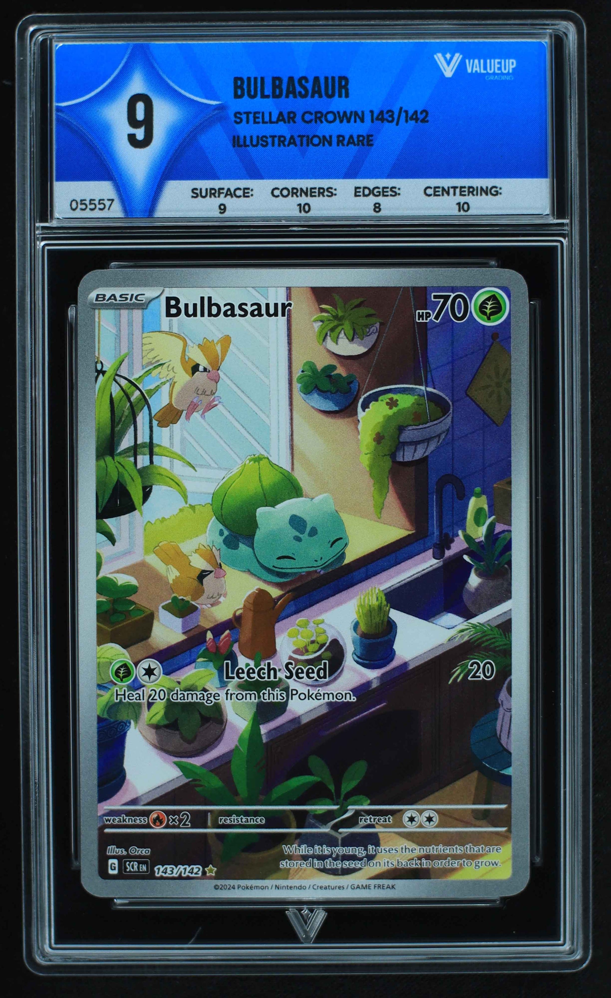 05557 BULBASAUR - ValueUp