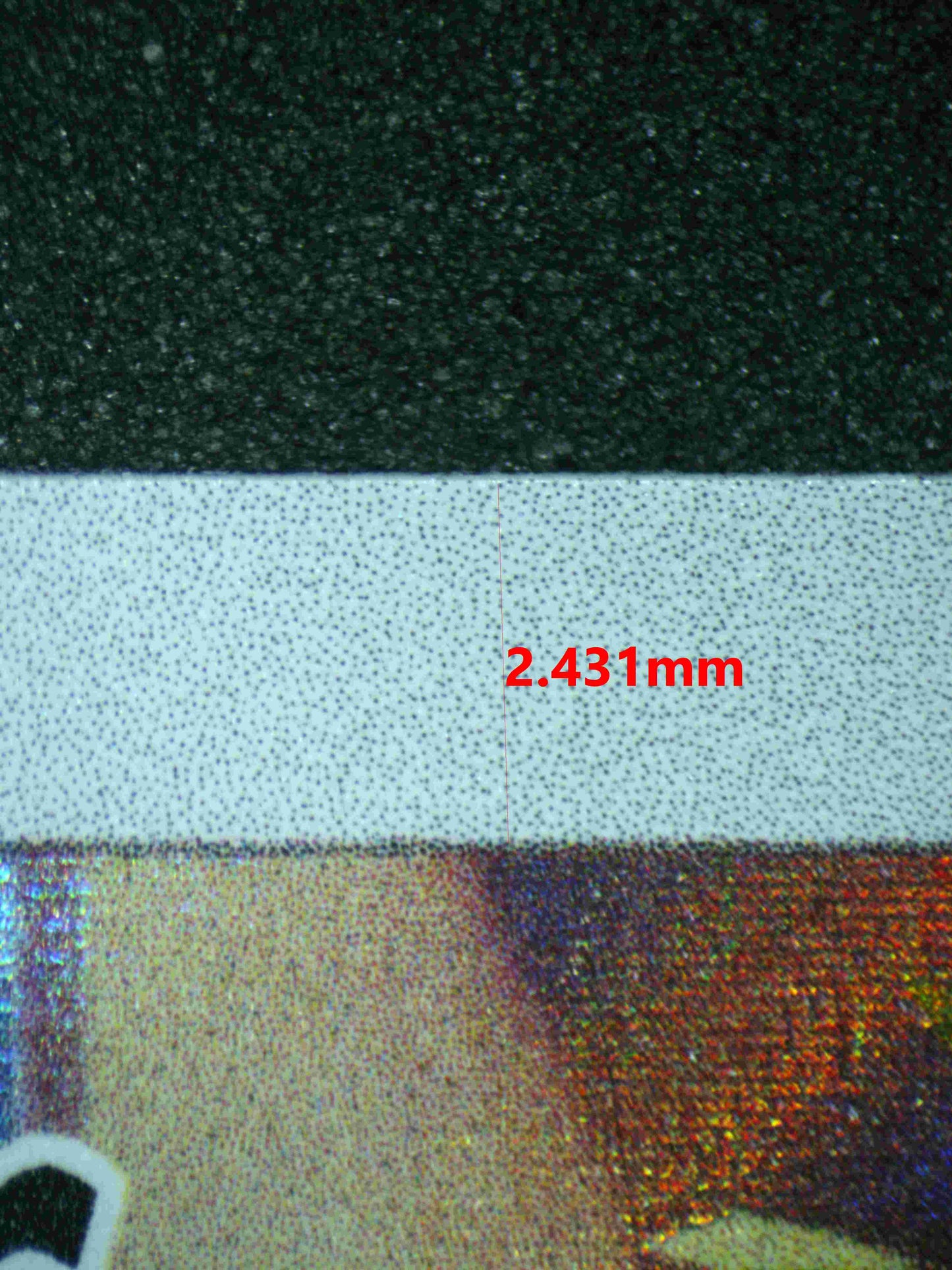 05557 BULBASAUR - ValueUp