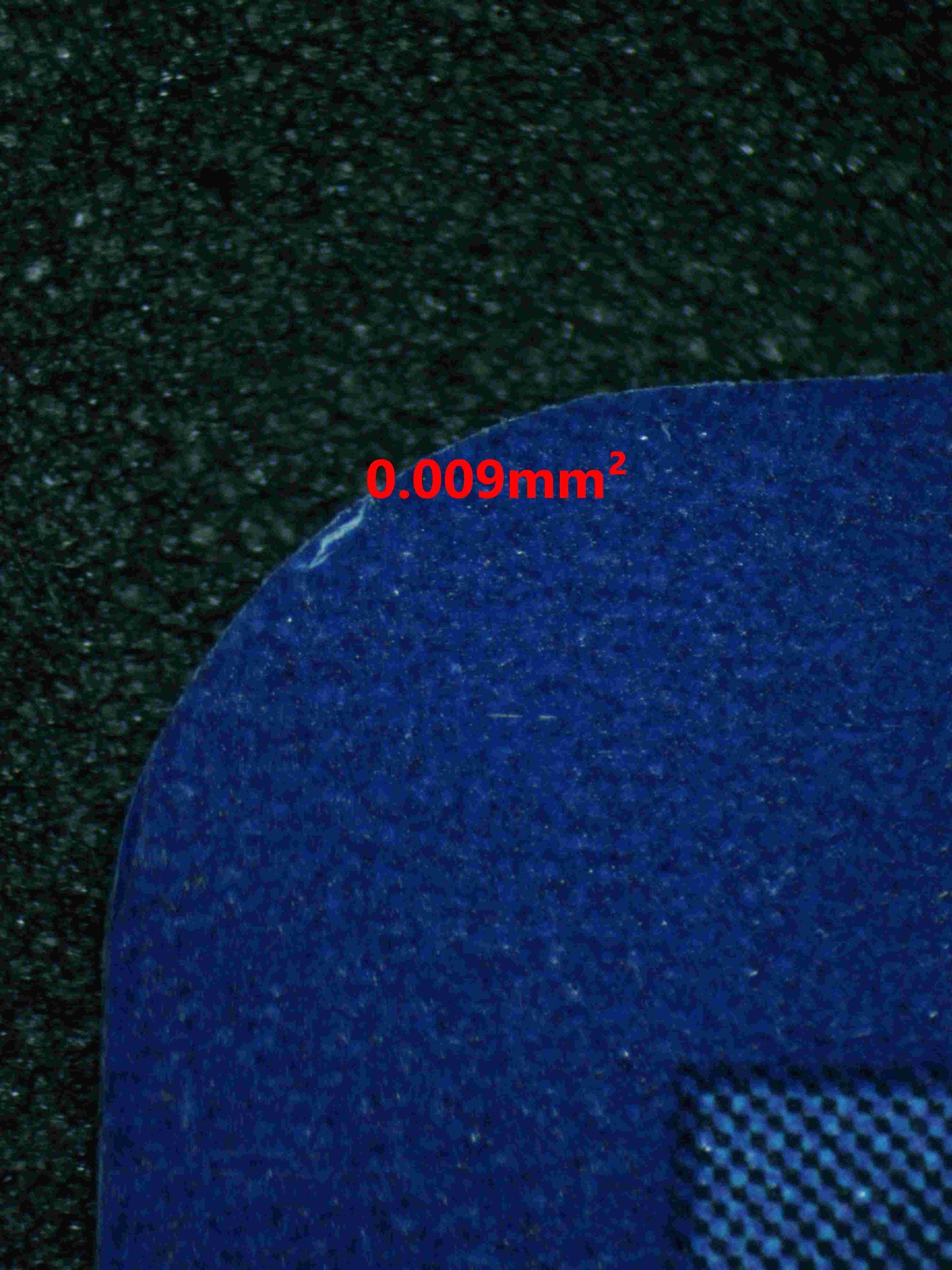 05558 UMBREON EX - ValueUp