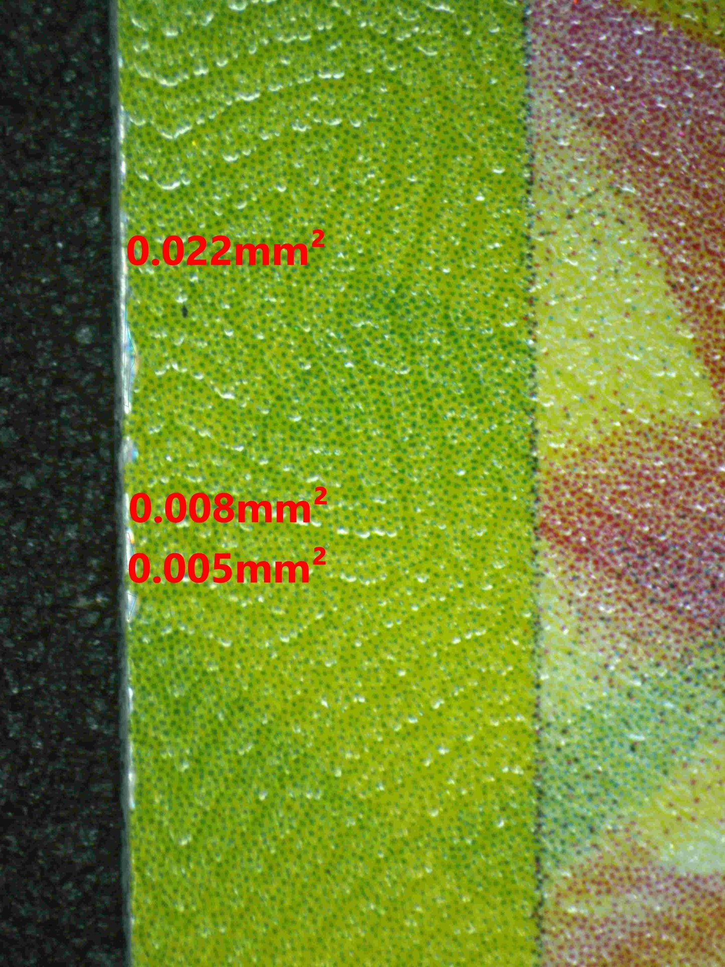 05564 PIKACHU EX - ValueUp