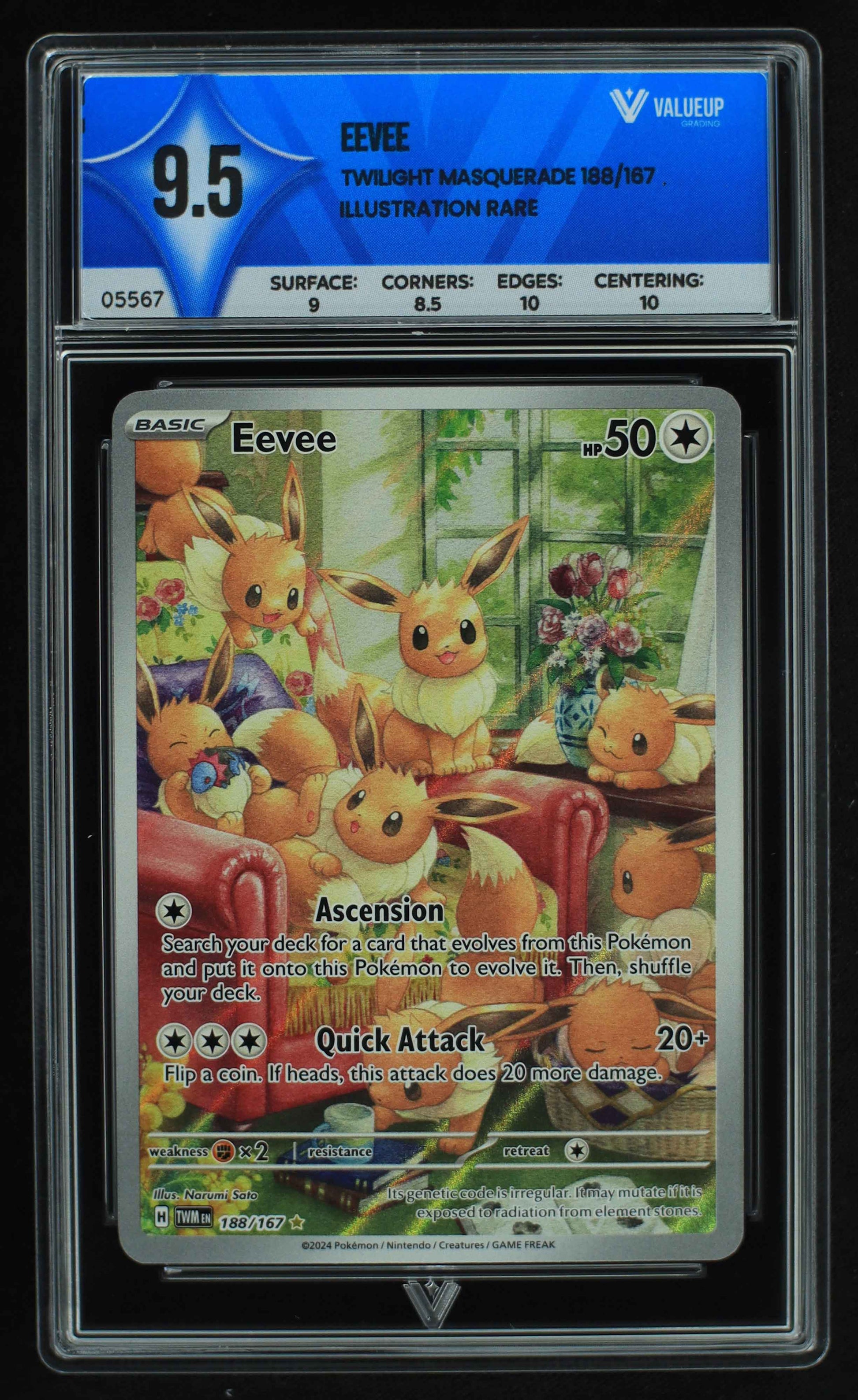 05567 EEVEE - ValueUp
