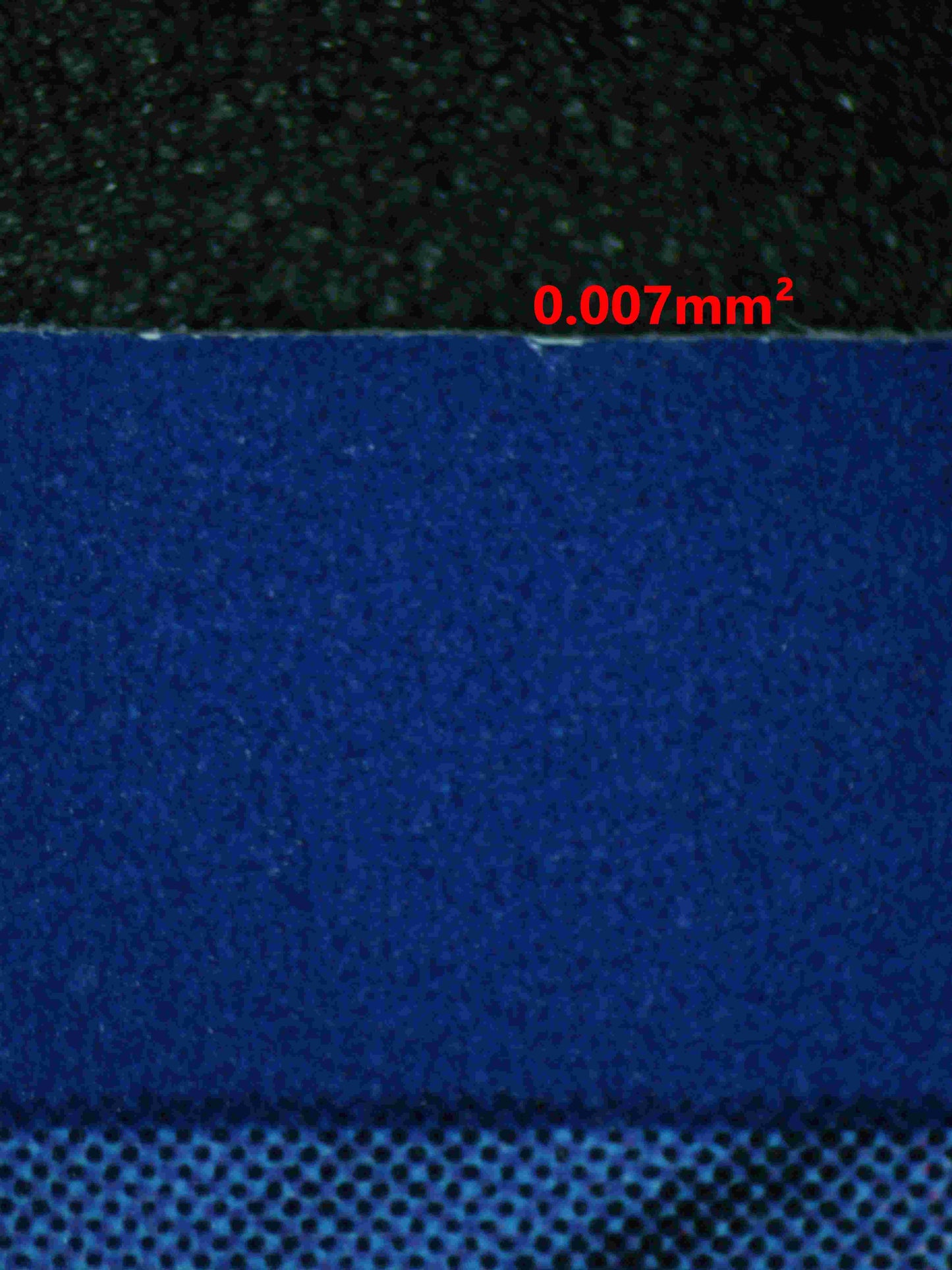 05569 GARDENIA'S VIGOR - ValueUp