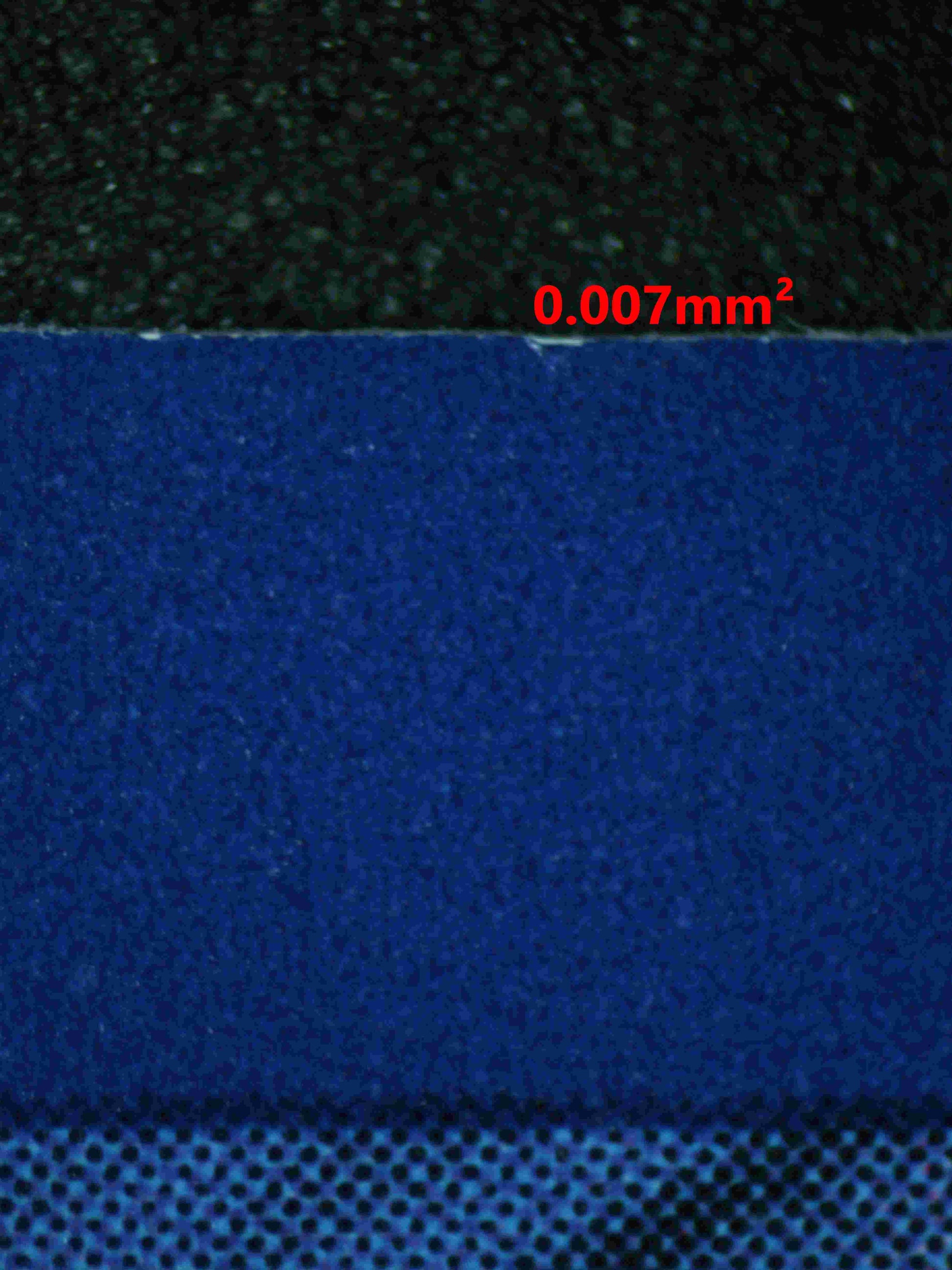 05569 GARDENIA'S VIGOR - ValueUp