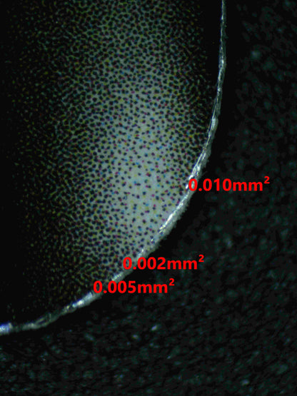 05570 GARCHOMP V - ValueUp