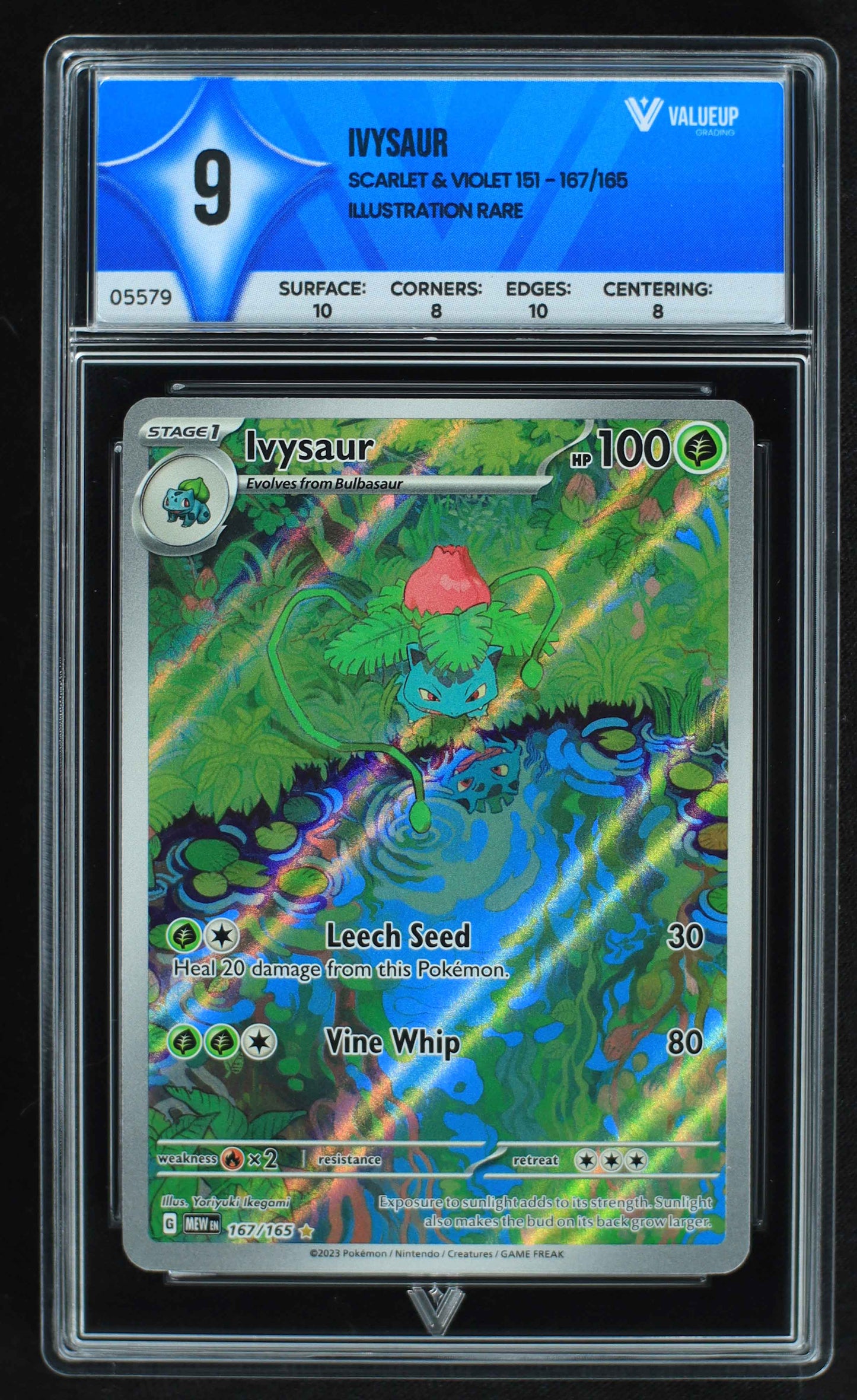 05579 IVYSAUR - ValueUp