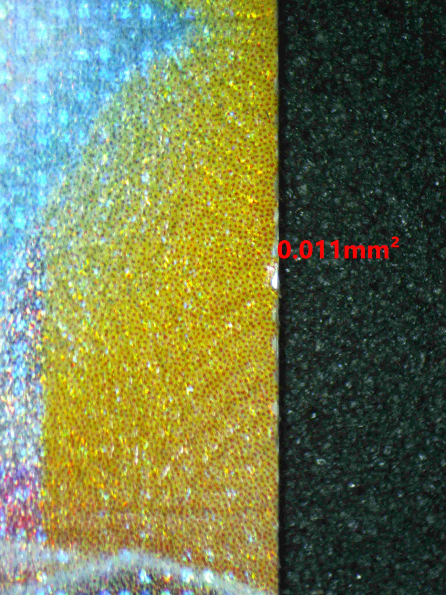 05602 UMBREON EX - ValueUp