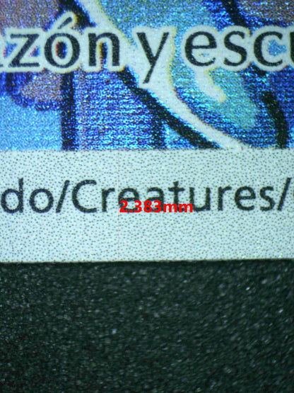 05616 SQUIRTLE (SPANISH) - ValueUp