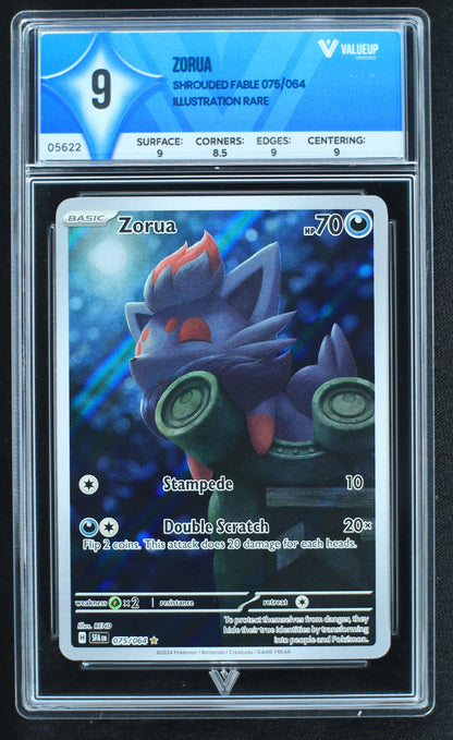 05622 ZORUA - ValueUp