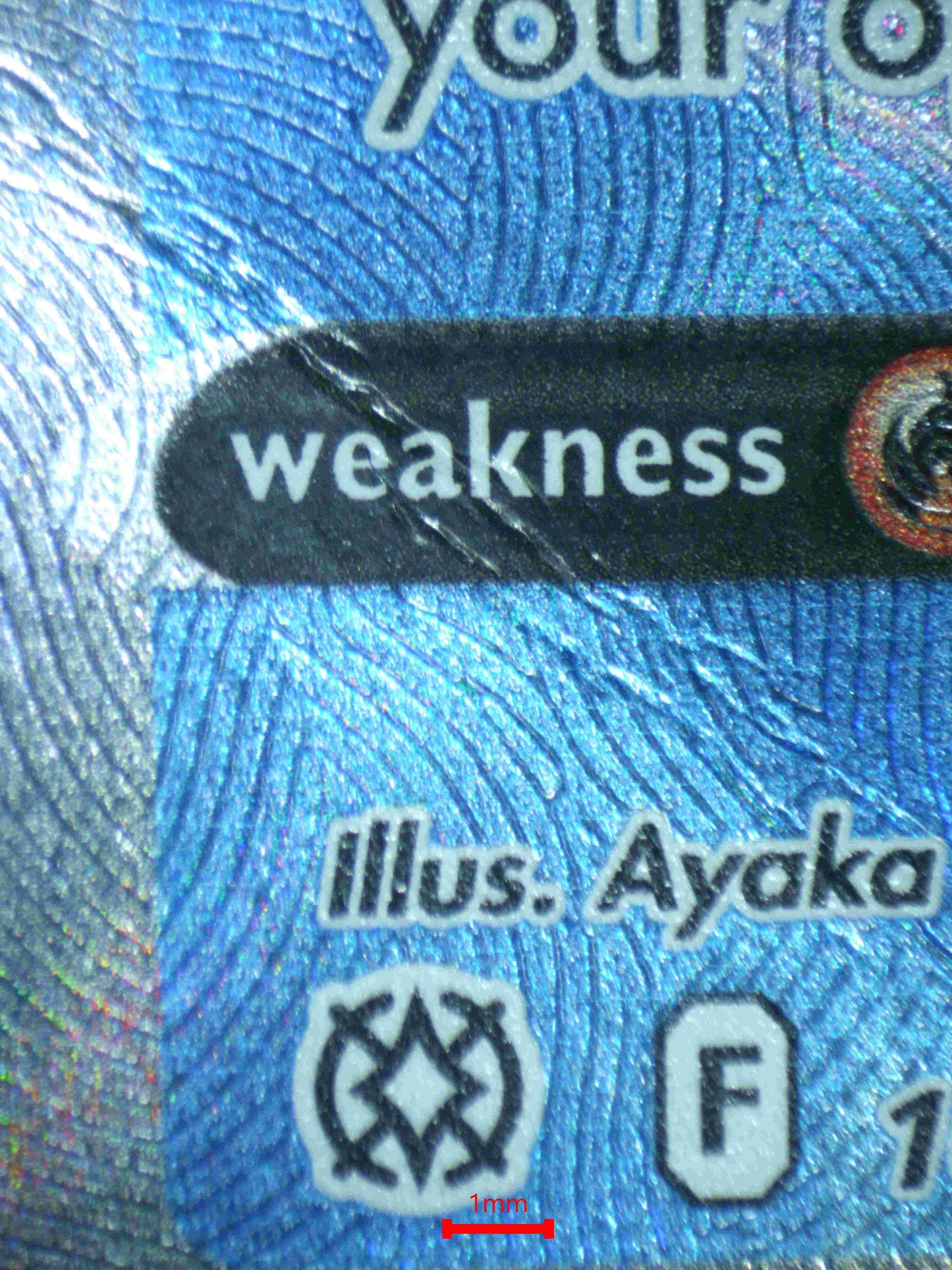 05628 ZAMAZENTA V - ValueUp