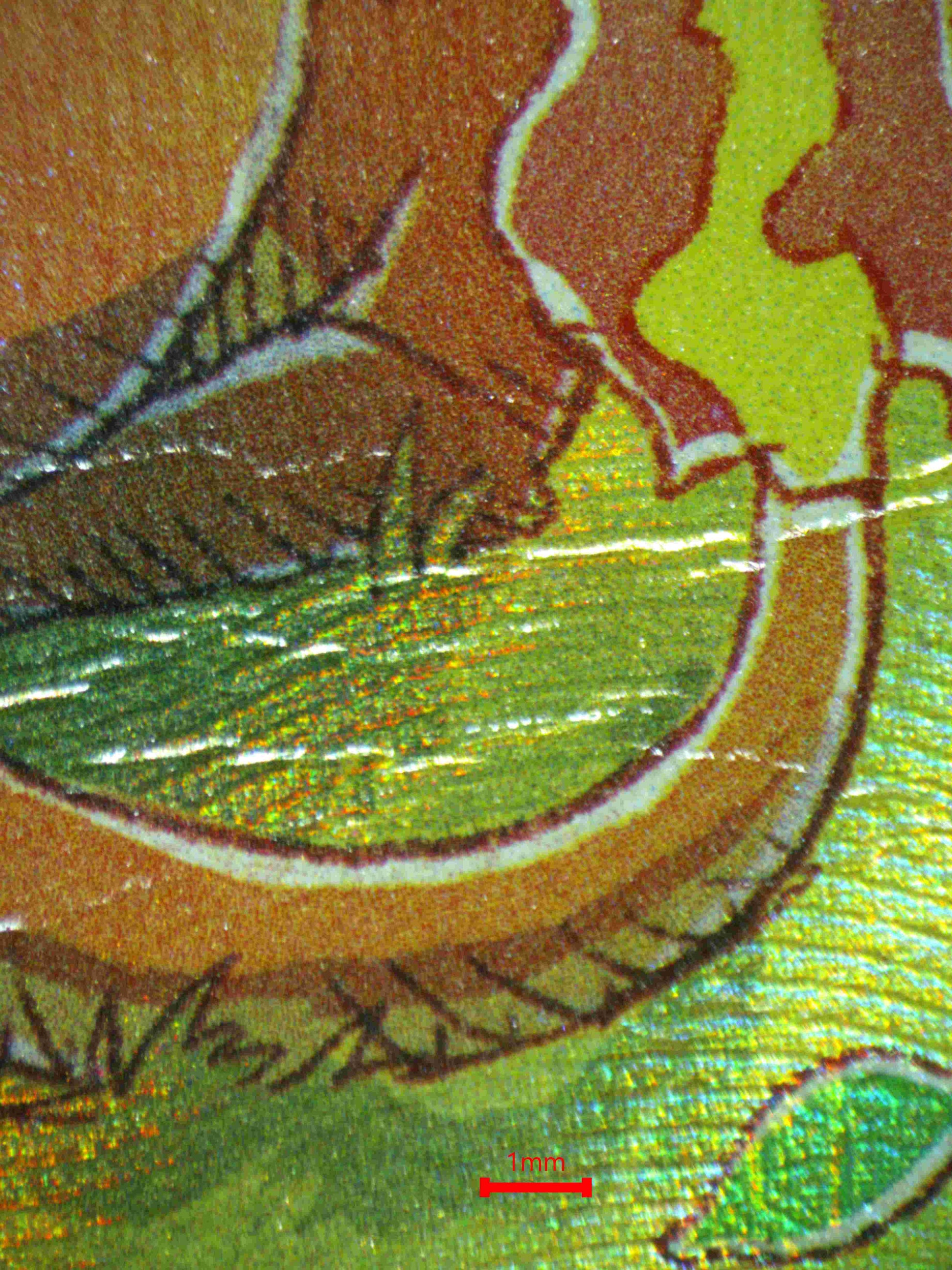 05629 CHARIZARD V - ValueUp