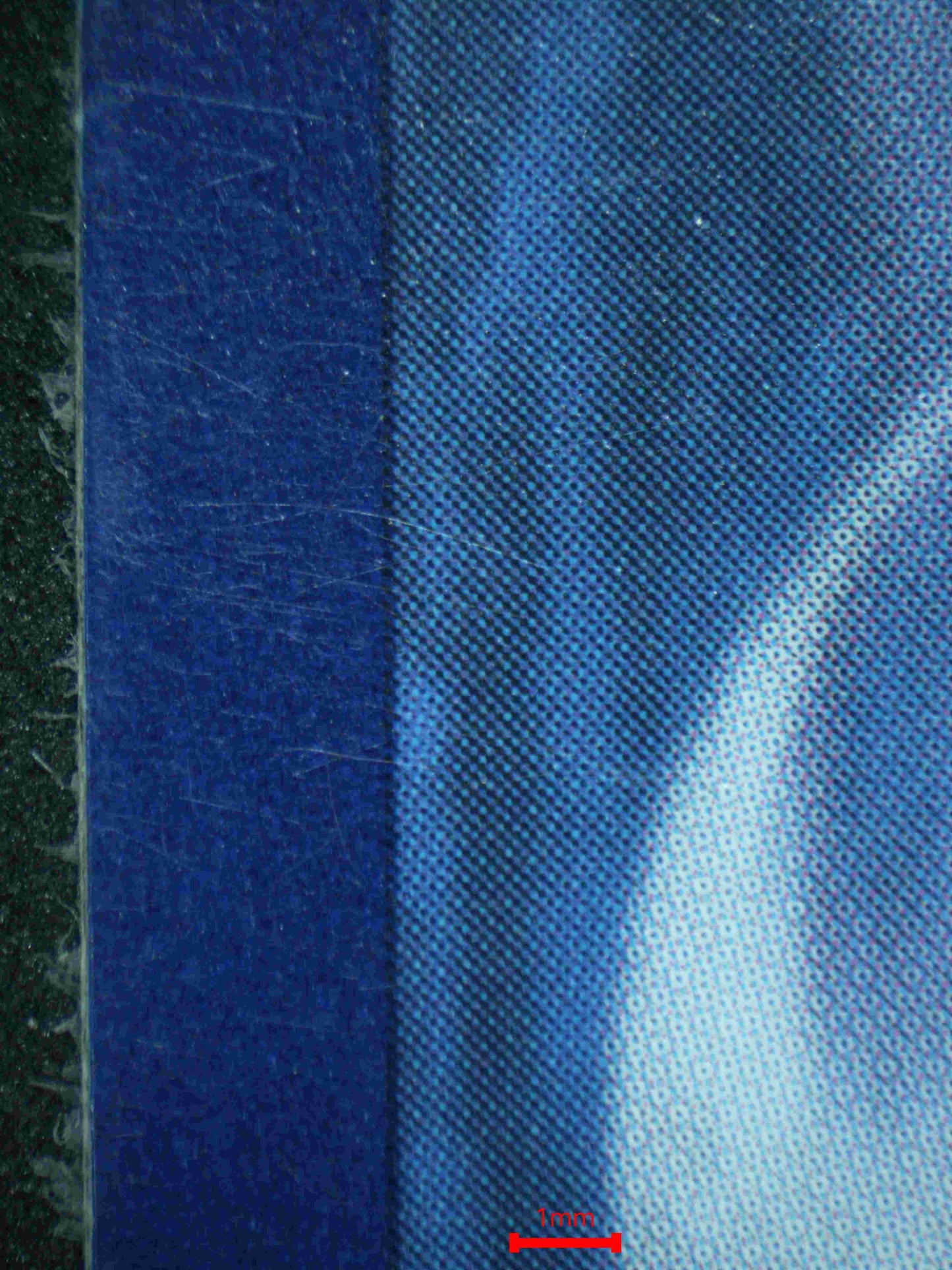 05638 ORANGURU - ValueUp