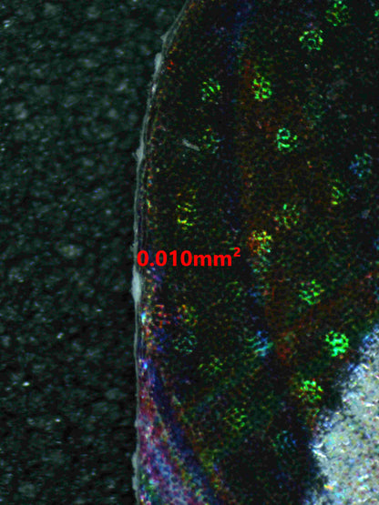 05645 ICE RIDER CALYREX VMAX - ValueUp