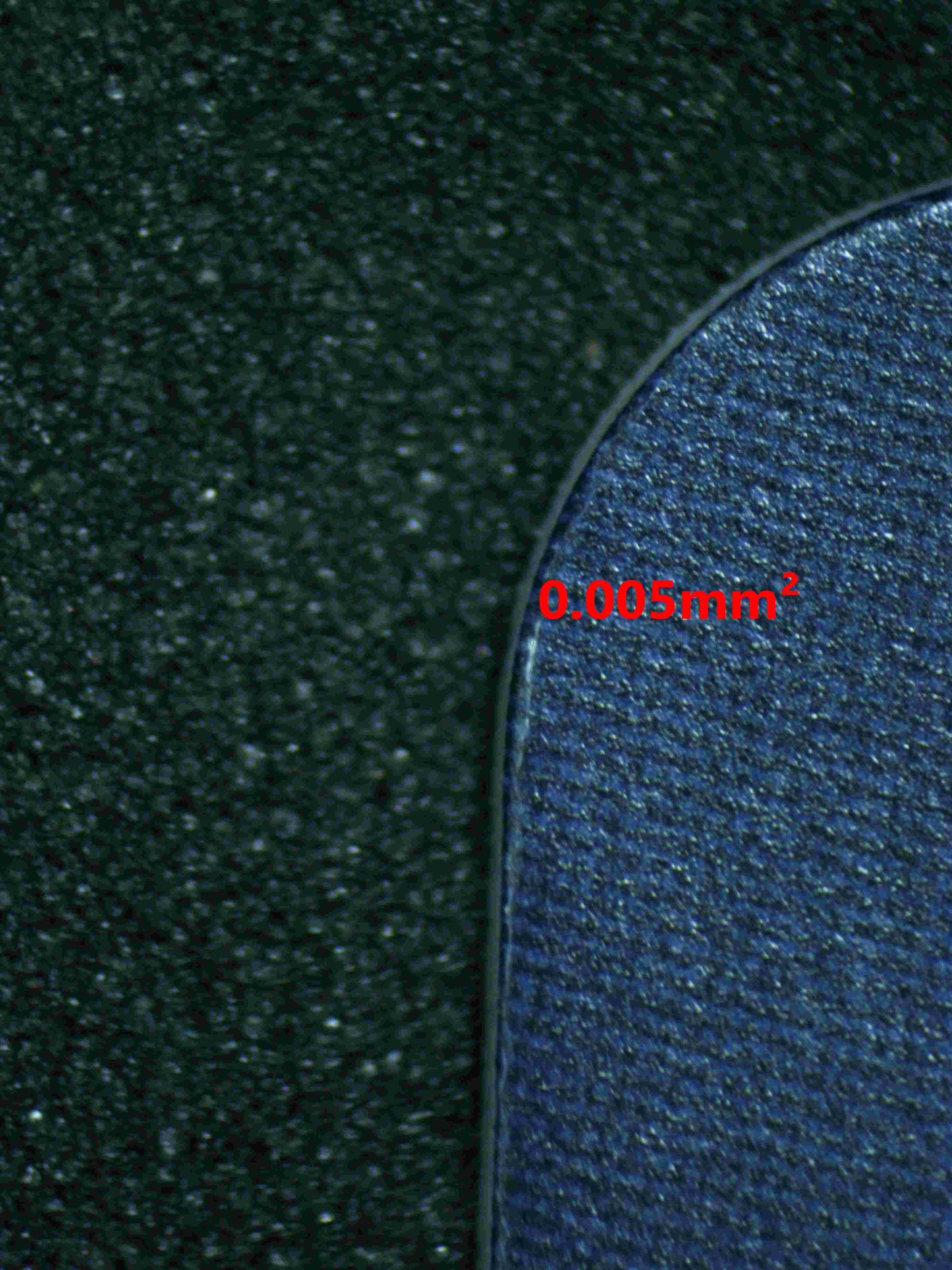 05662 SHANKS - ValueUp