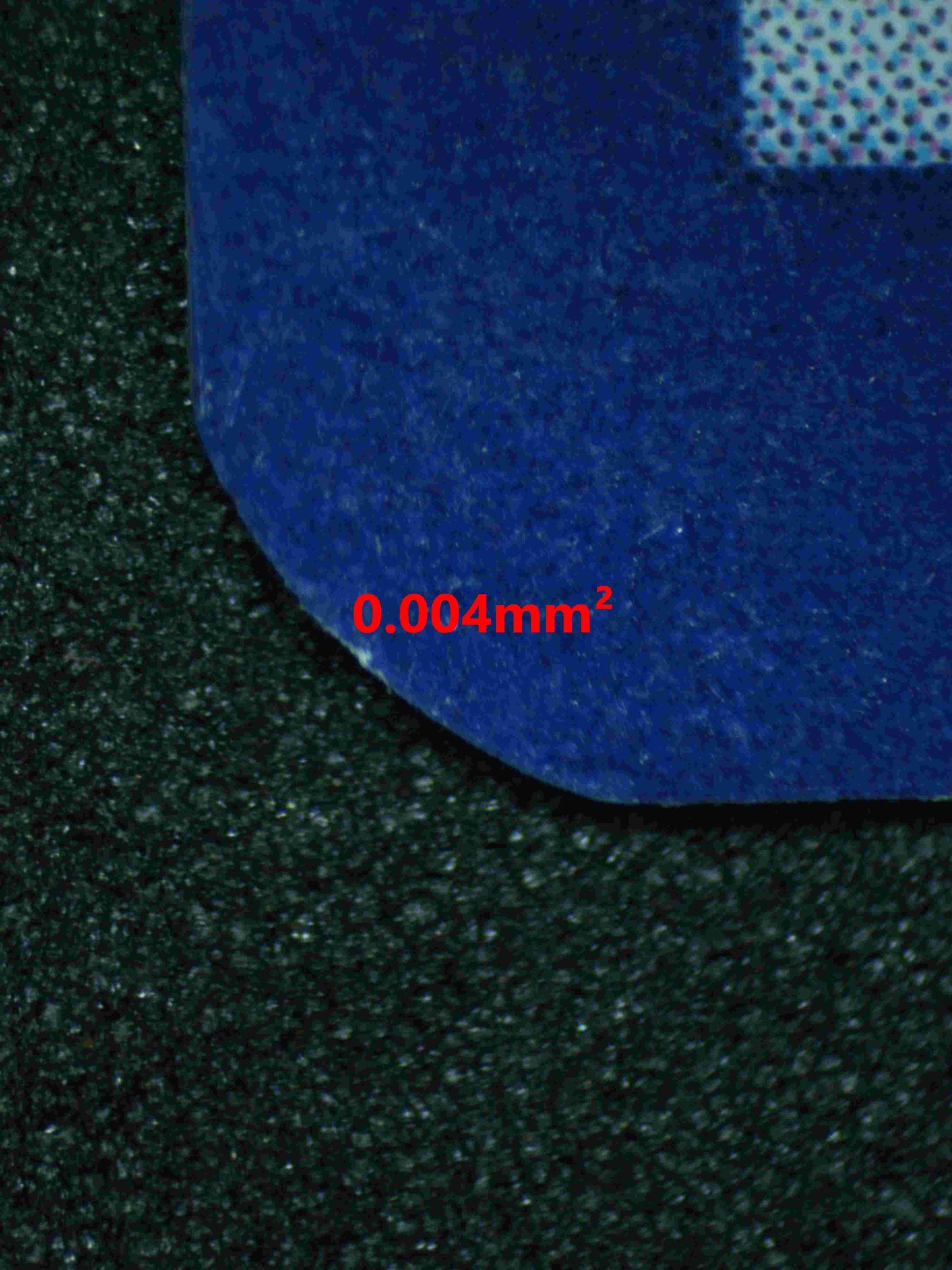 05682 KORAIDON - ValueUp