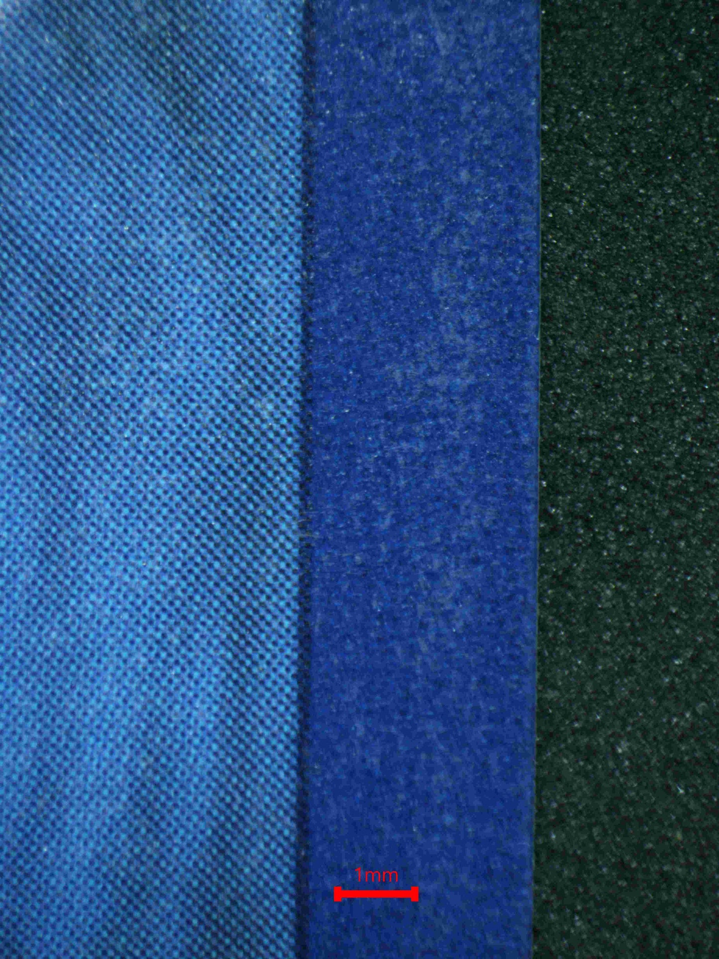 05683 MIRAIDON - ValueUp