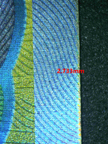 05684 TORTERRA EX - ValueUp