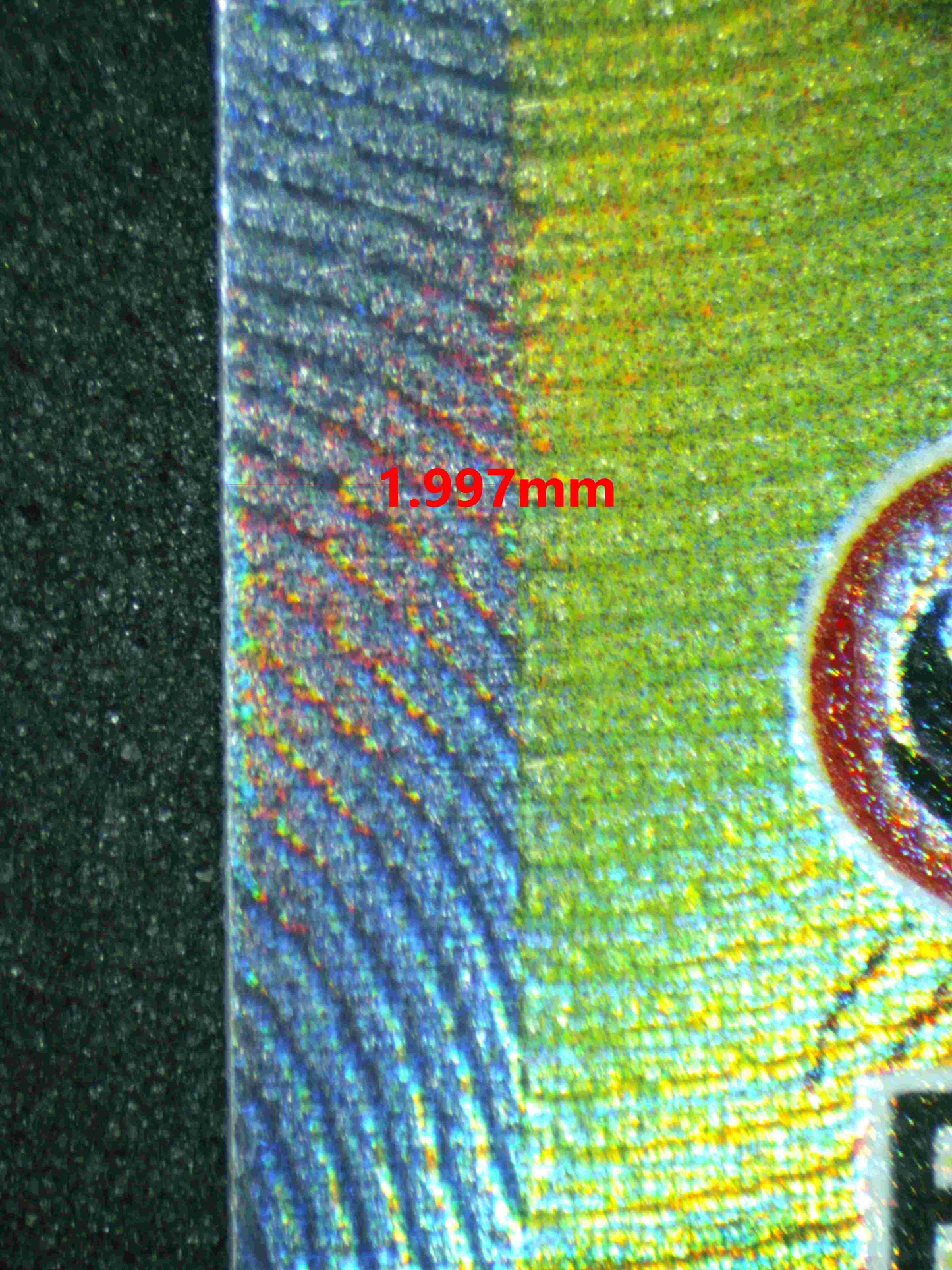 05687 CHARIZARD V - ValueUp