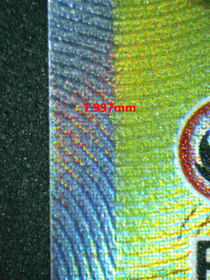 05687 CHARIZARD V - ValueUp